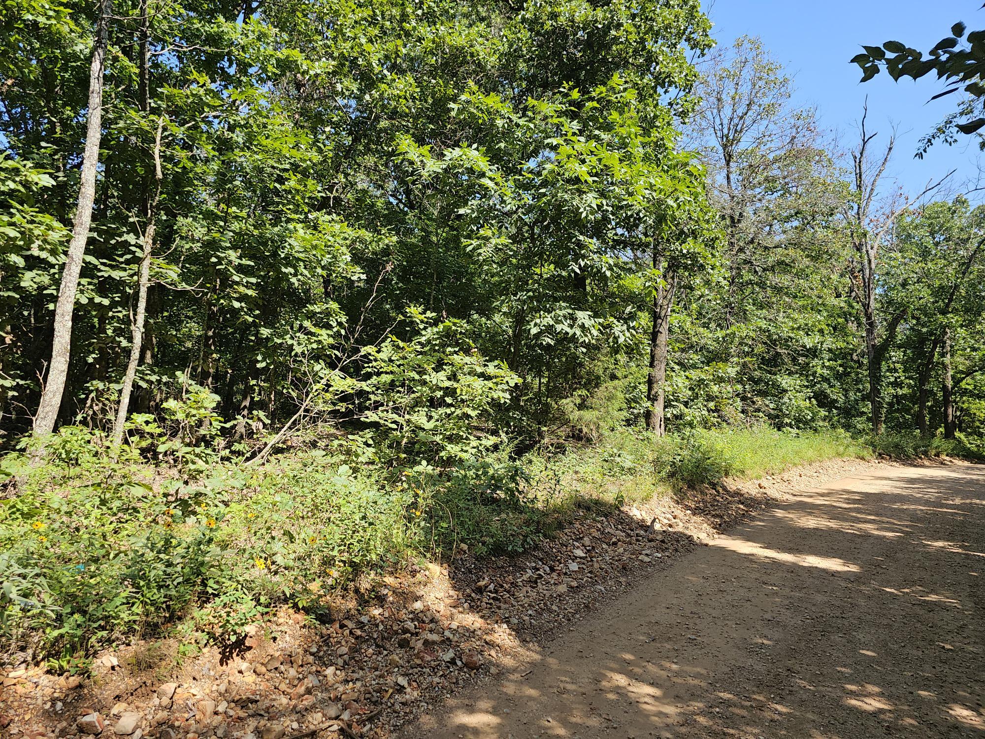 65 Acres Plainview Road Property Photo 30