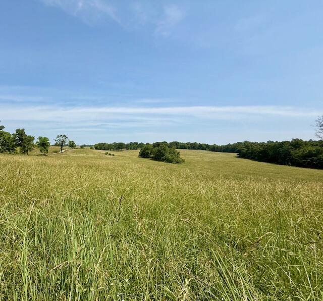 15620 County Road Ww-a Property Photo 41