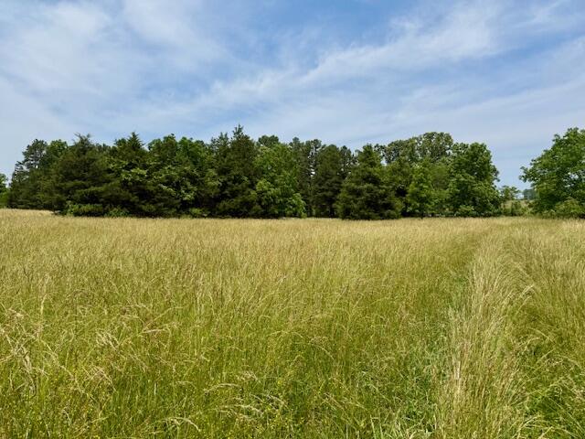 15620 County Road Ww-a Property Photo 45