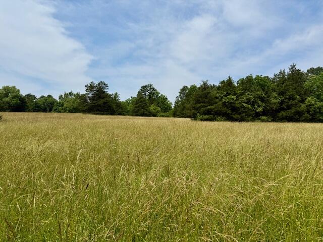 15620 County Road Ww-a Property Photo 46