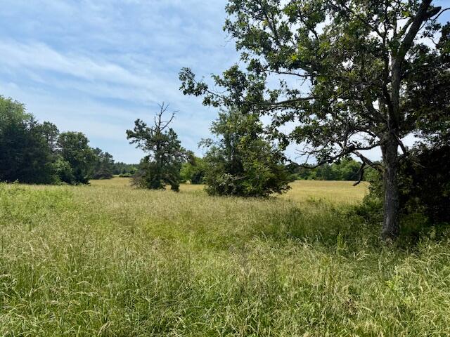 15620 County Road Ww-a Property Photo 52