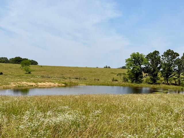 15620 County Road Ww-a Property Photo 54
