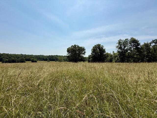 15620 County Road Ww-a Property Photo 61