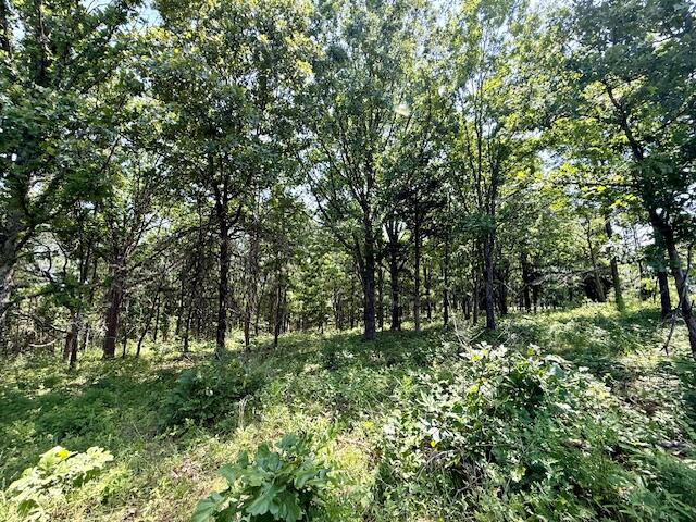 15620 County Road Ww-a Property Photo 69