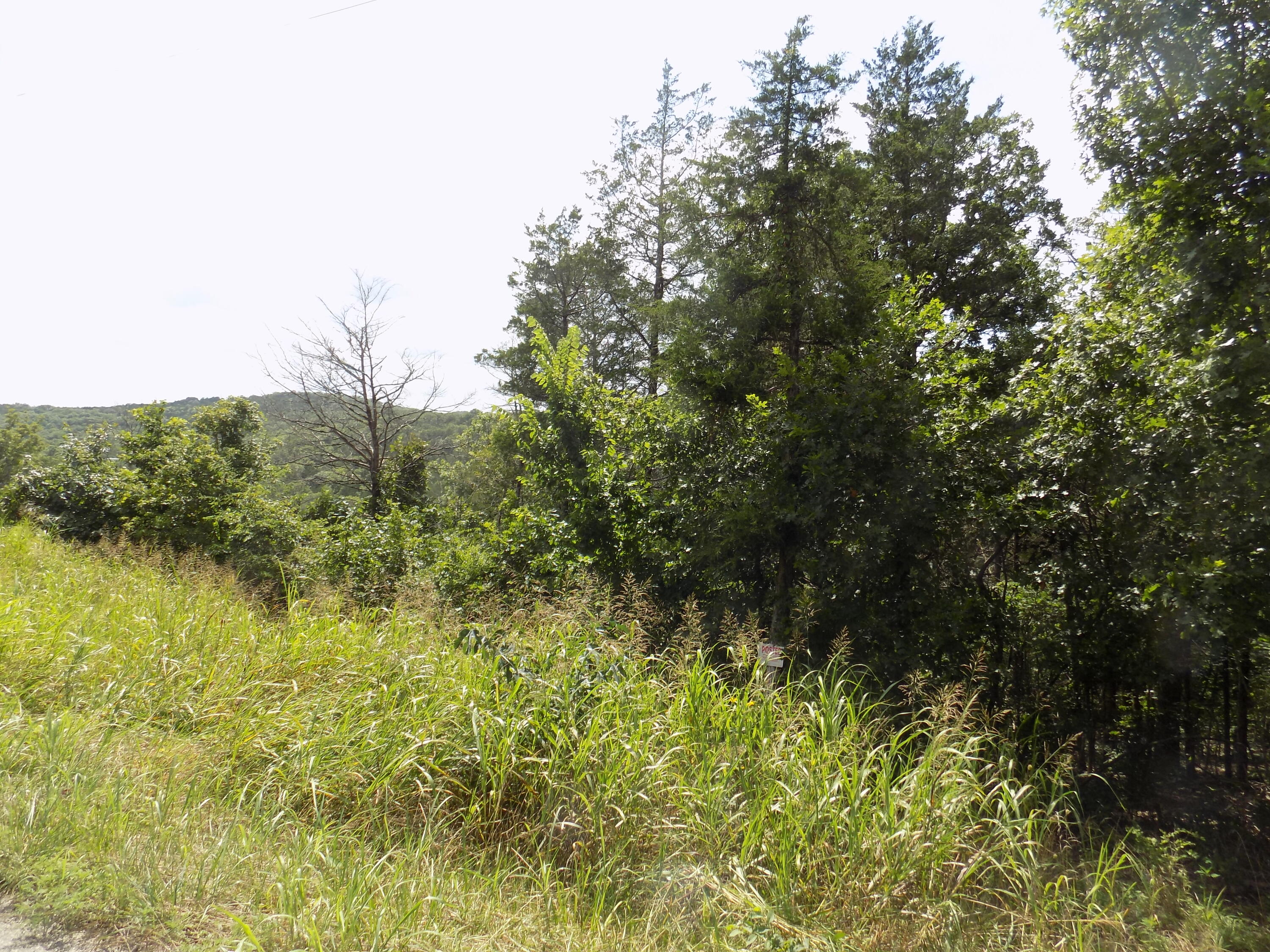 Tbd Cane Creek Road Property Photo 2