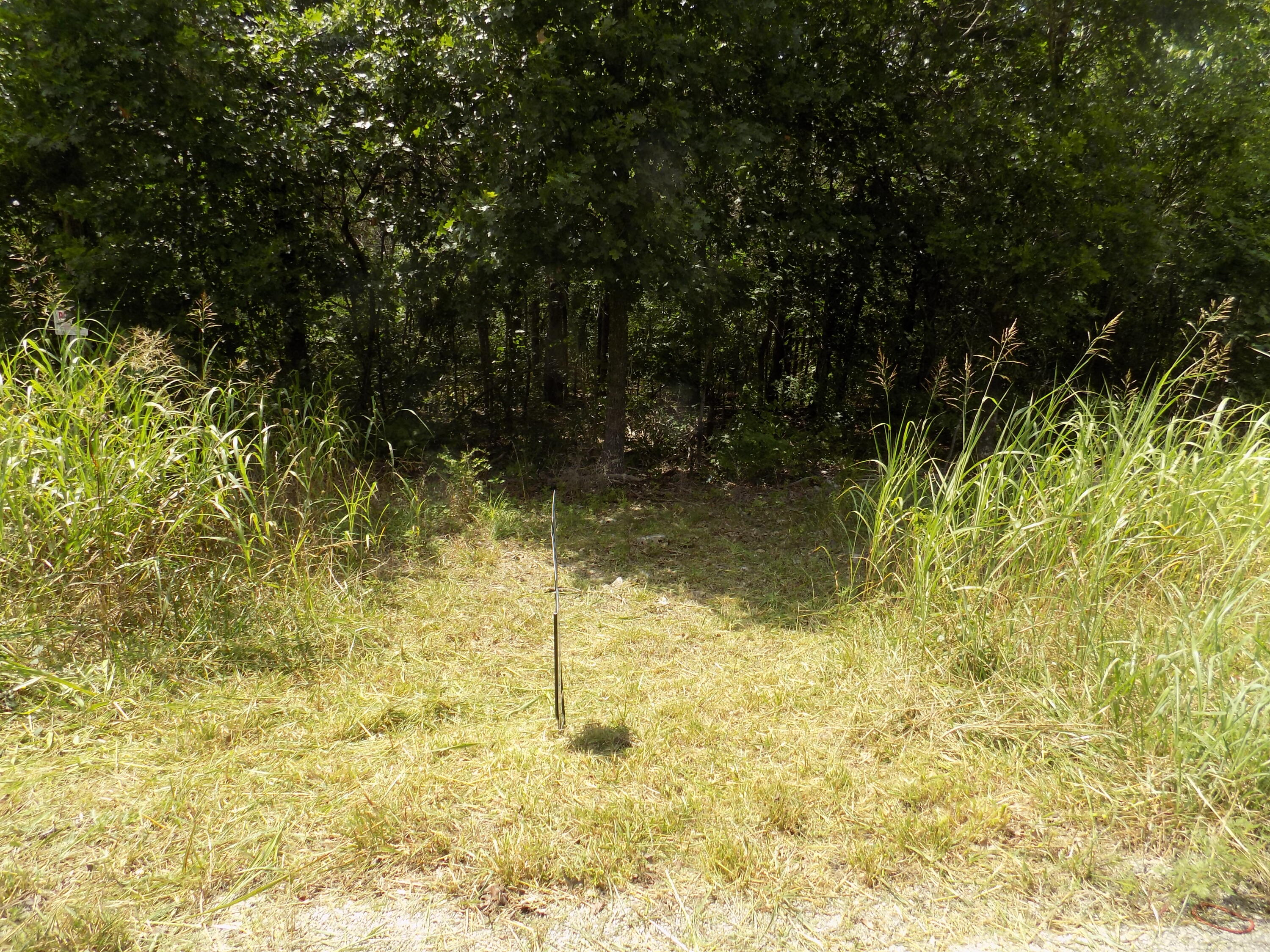 Tbd Cane Creek Road Property Photo 3