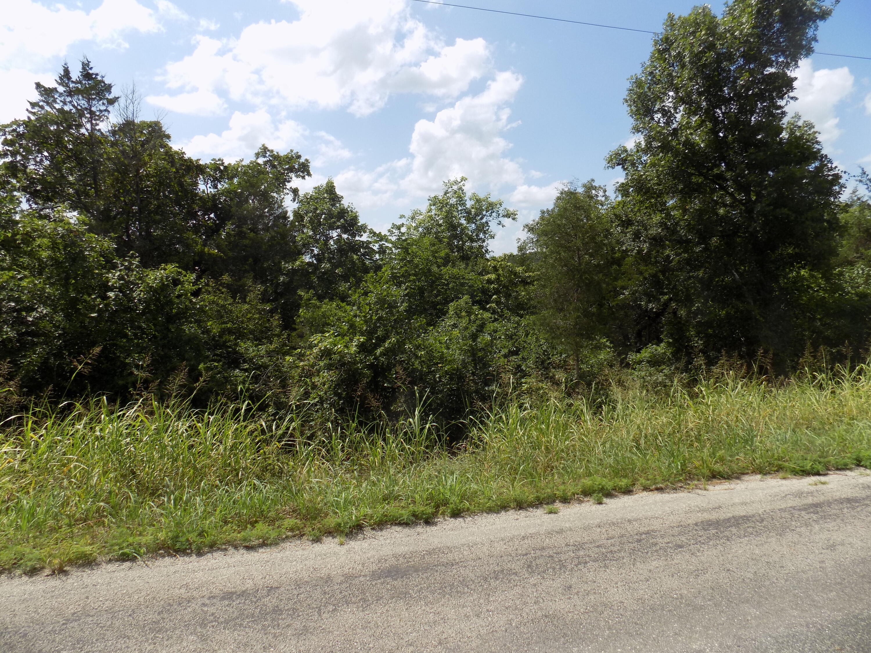 Tbd Cane Creek Road Property Photo 4