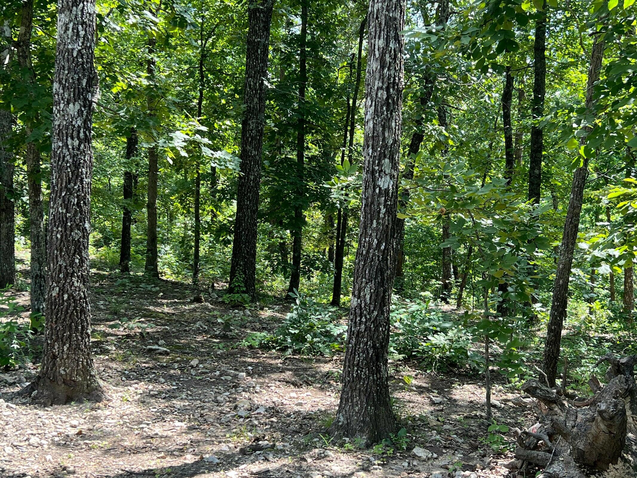 1001 Foxfield Road Property Photo 7