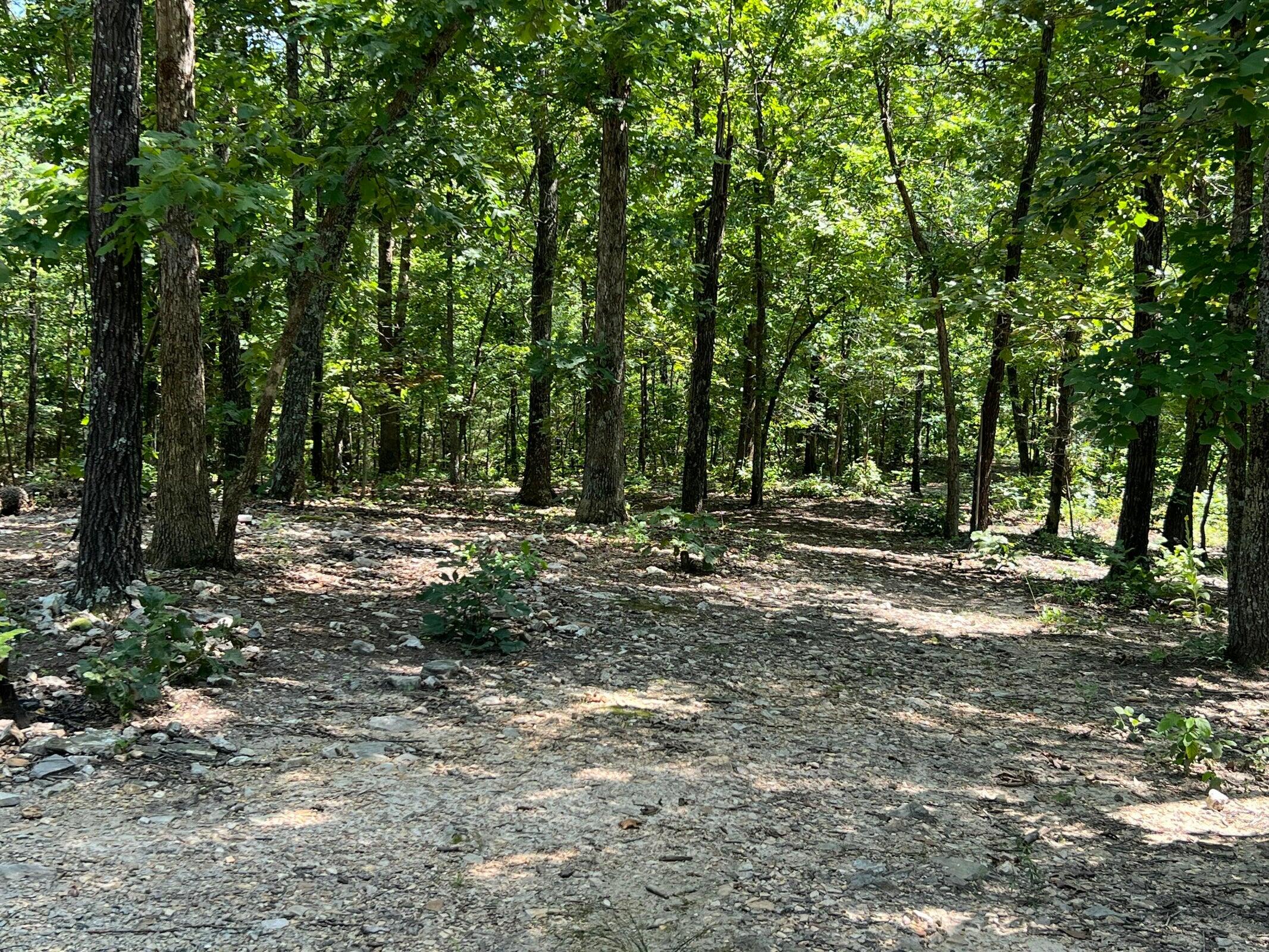 1001 Foxfield Road Property Photo 8