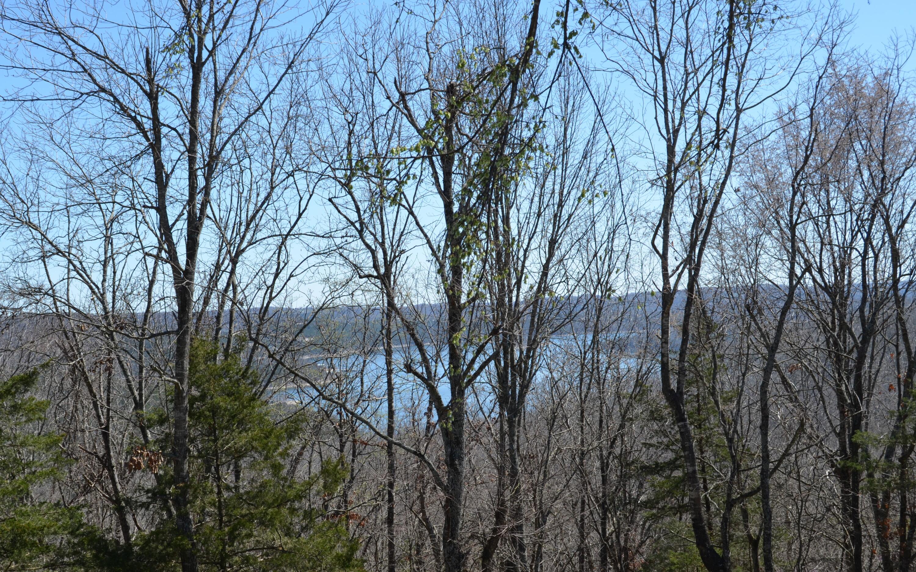 10 Acres Ice Box Cove Lane Property Photo 2