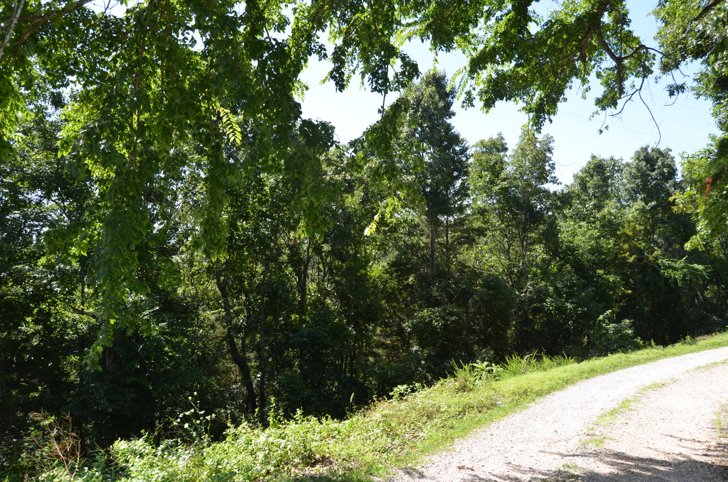 10 Acres Ice Box Cove Lane Property Photo 12