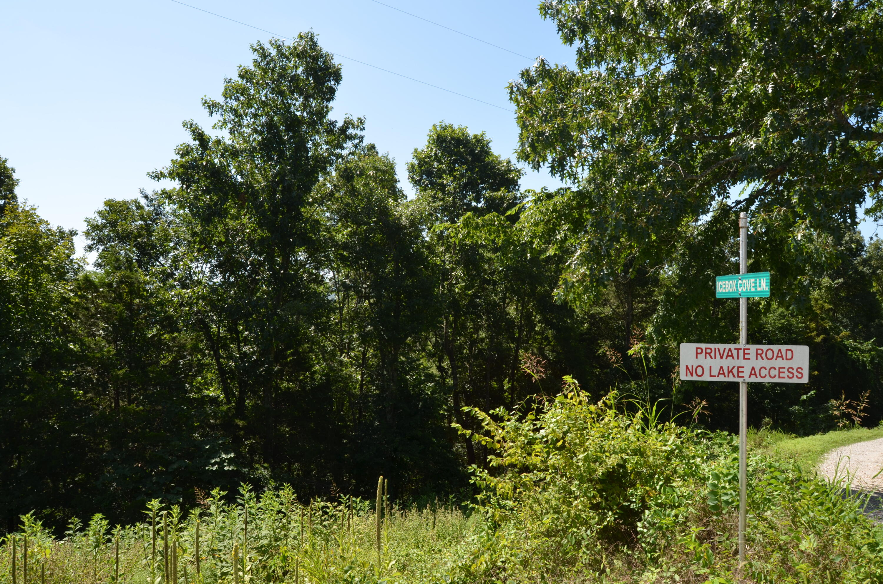 10 Acres Ice Box Cove Lane Property Photo 13
