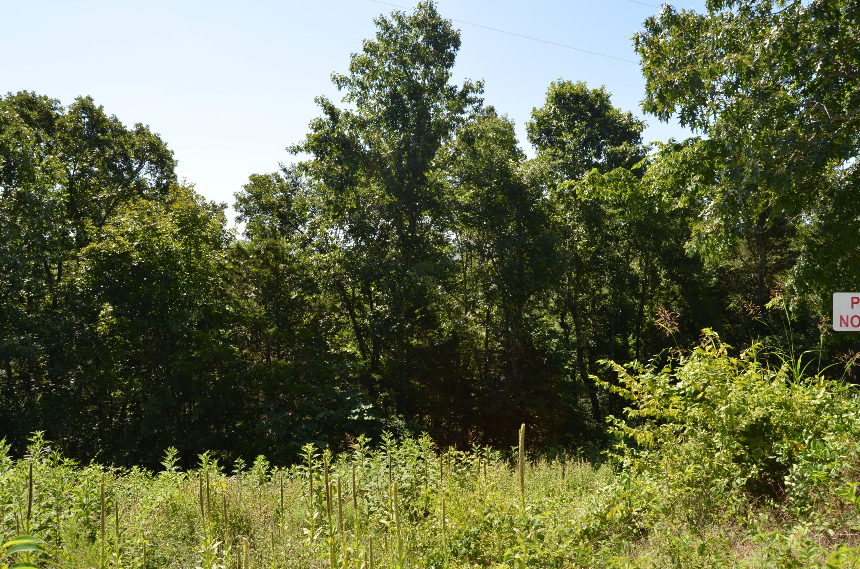 10 Acres Ice Box Cove Lane Property Photo 14