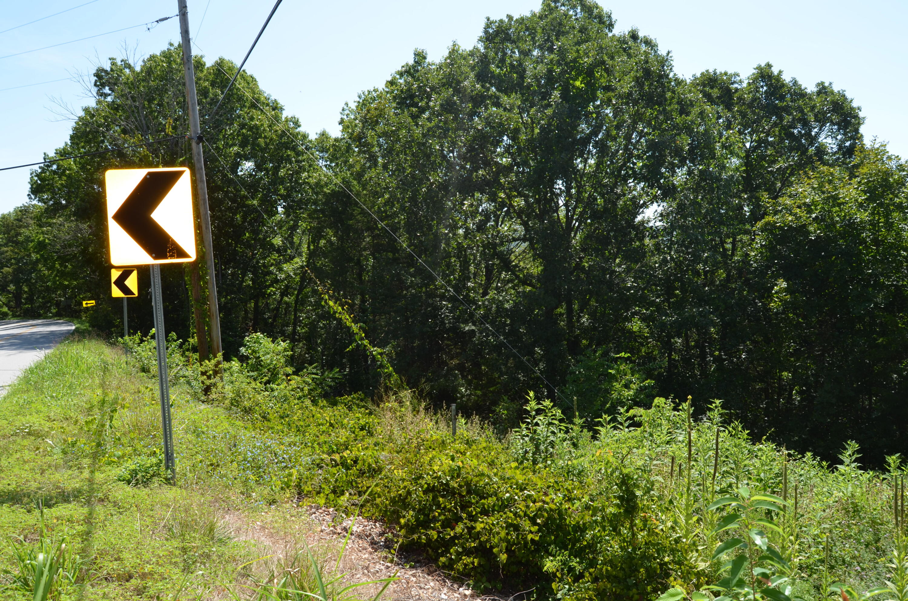 10 Acres Ice Box Cove Lane Property Photo 16