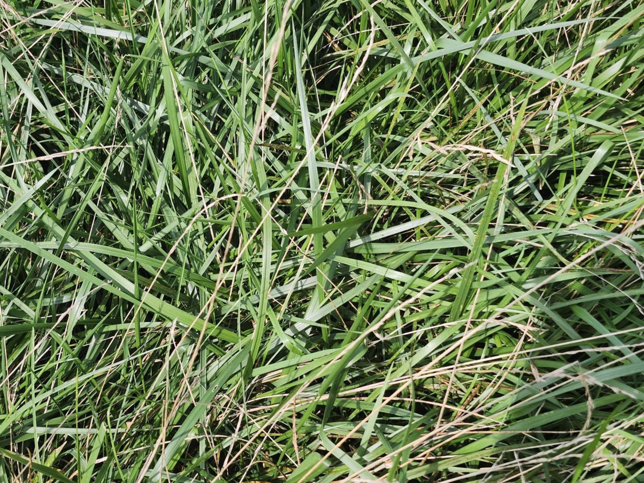 0 Highway 76 Property Photo 2