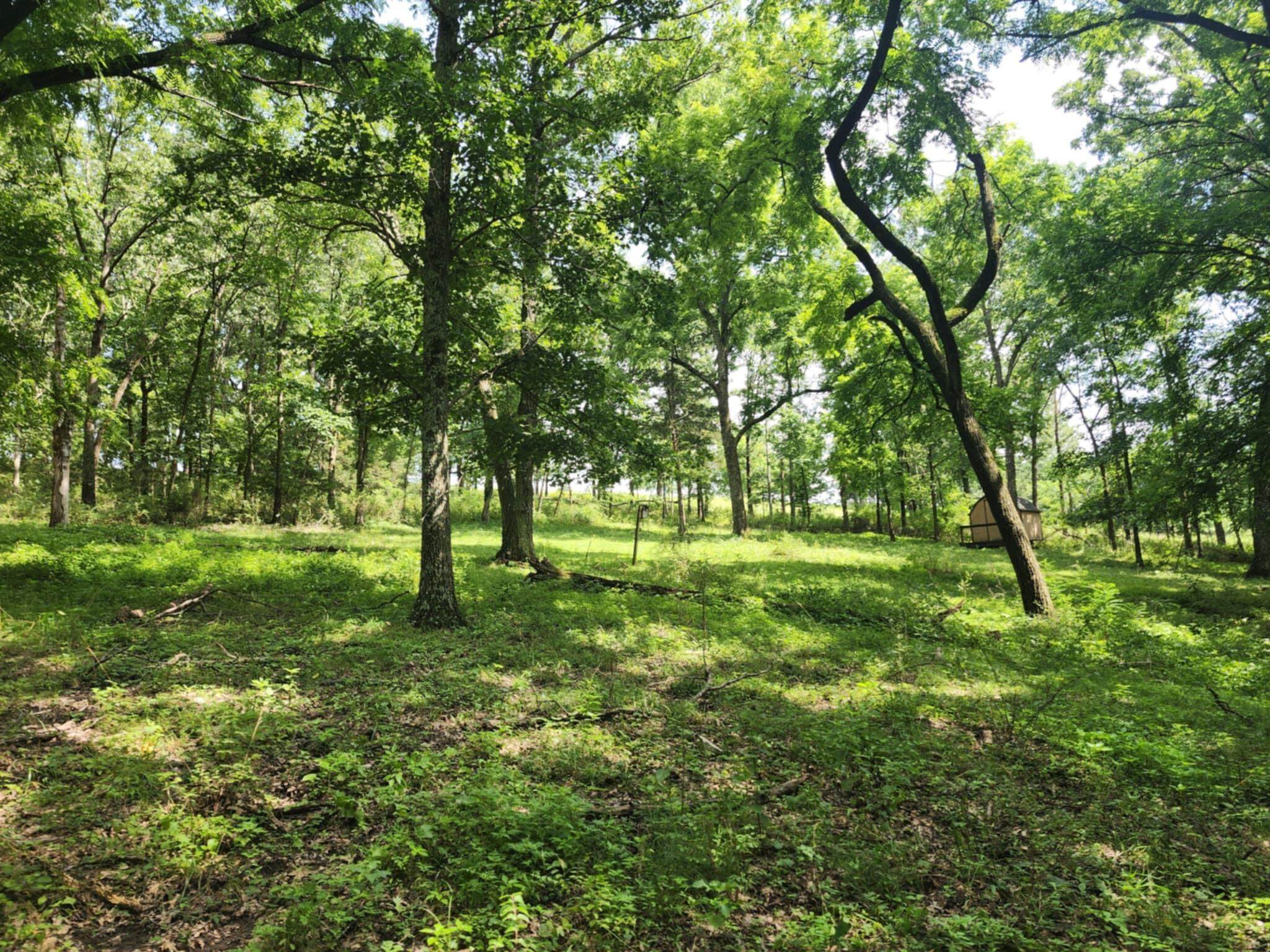 0 Highway 76 Property Photo 4