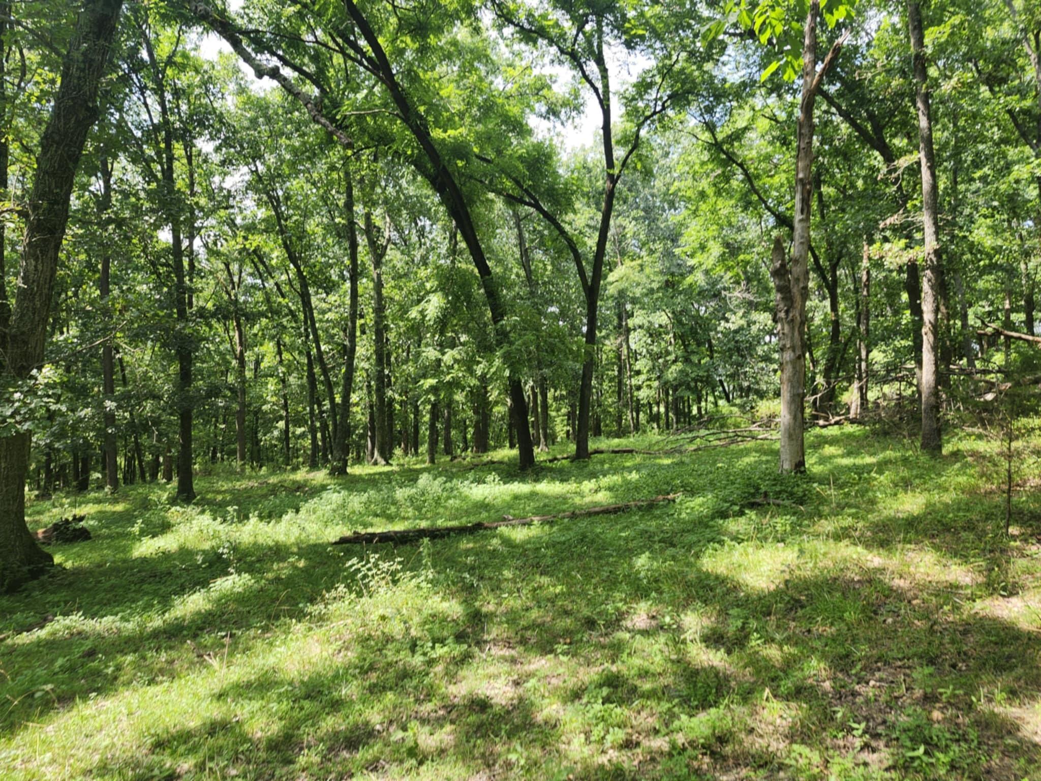 0 Highway 76 Property Photo 5