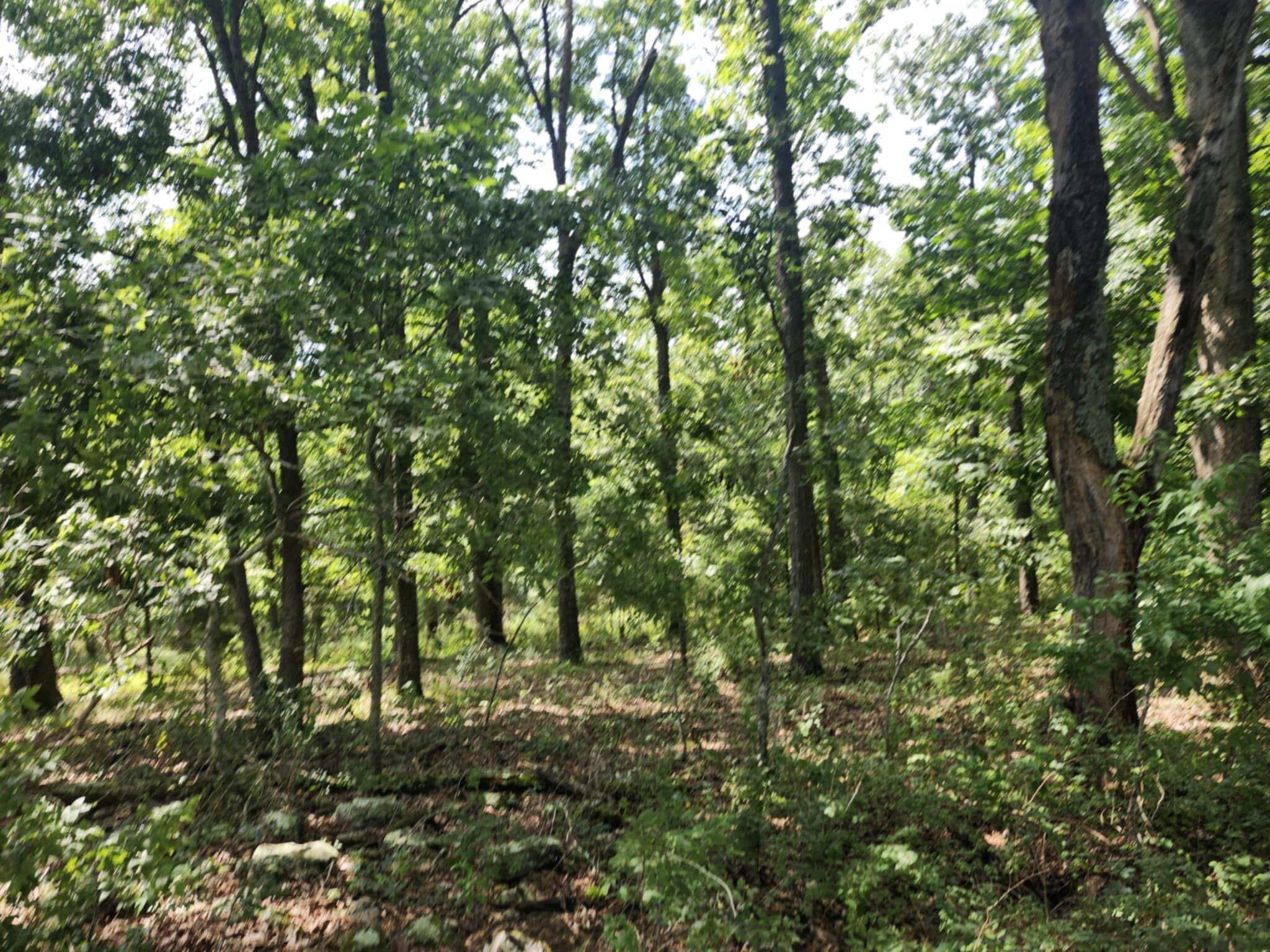 0 Highway 76 Property Photo 6