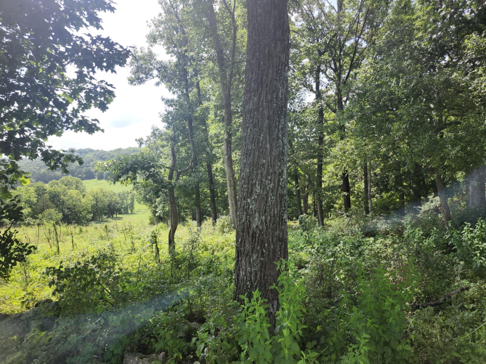 0 Highway 76 Property Photo 10