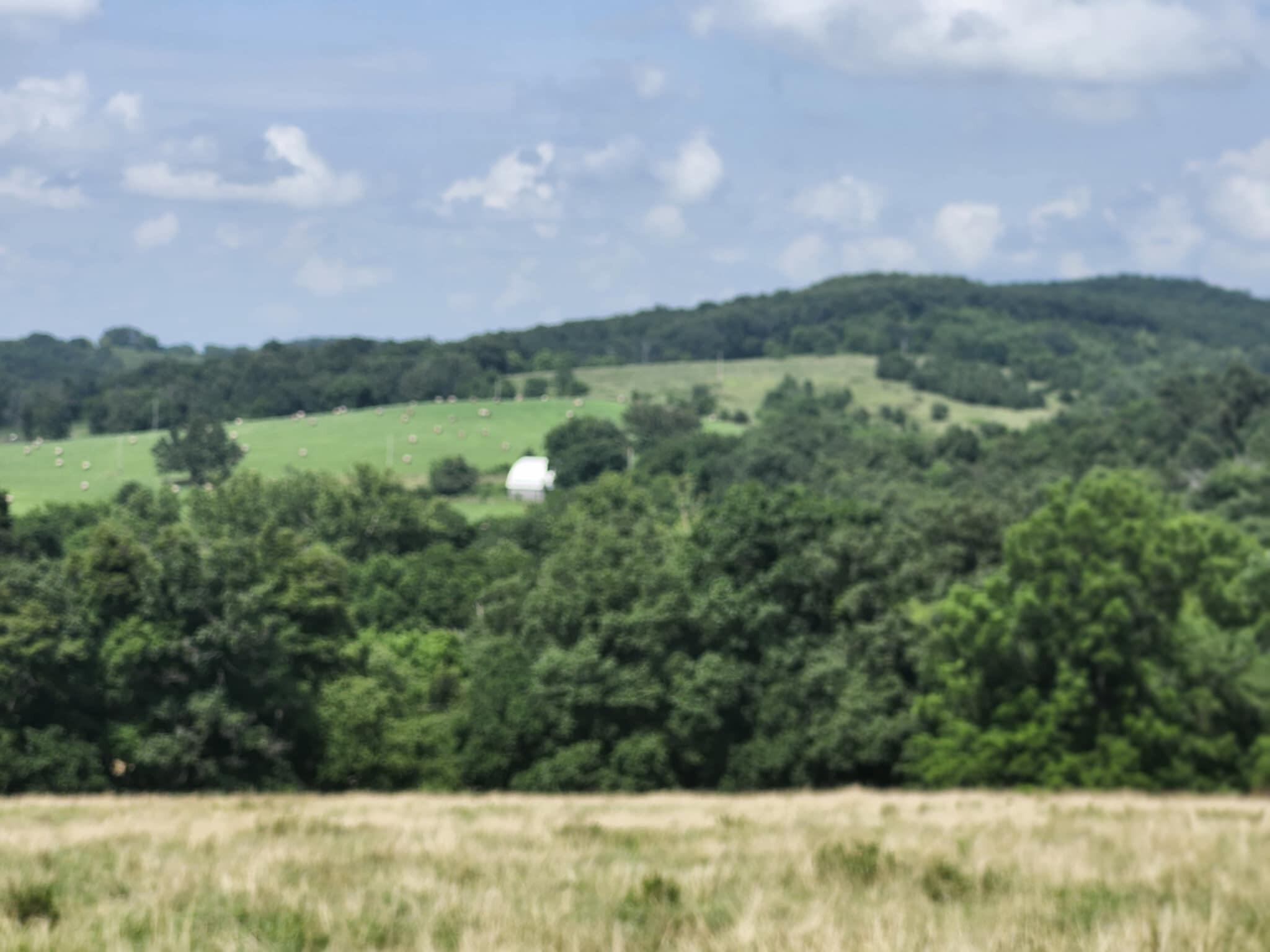 0 Highway 76 Property Photo 11