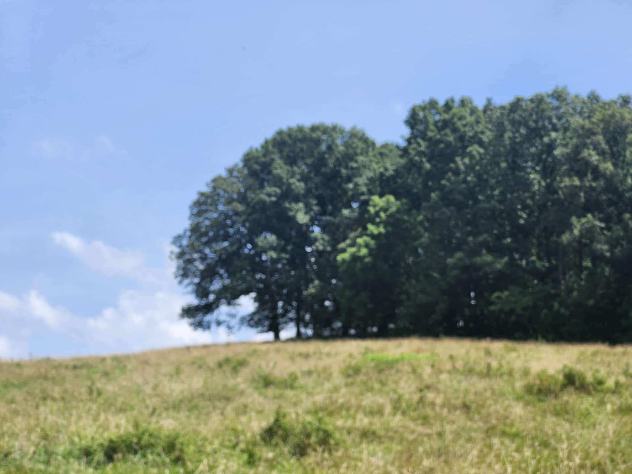 0 Highway 76 Property Photo 14
