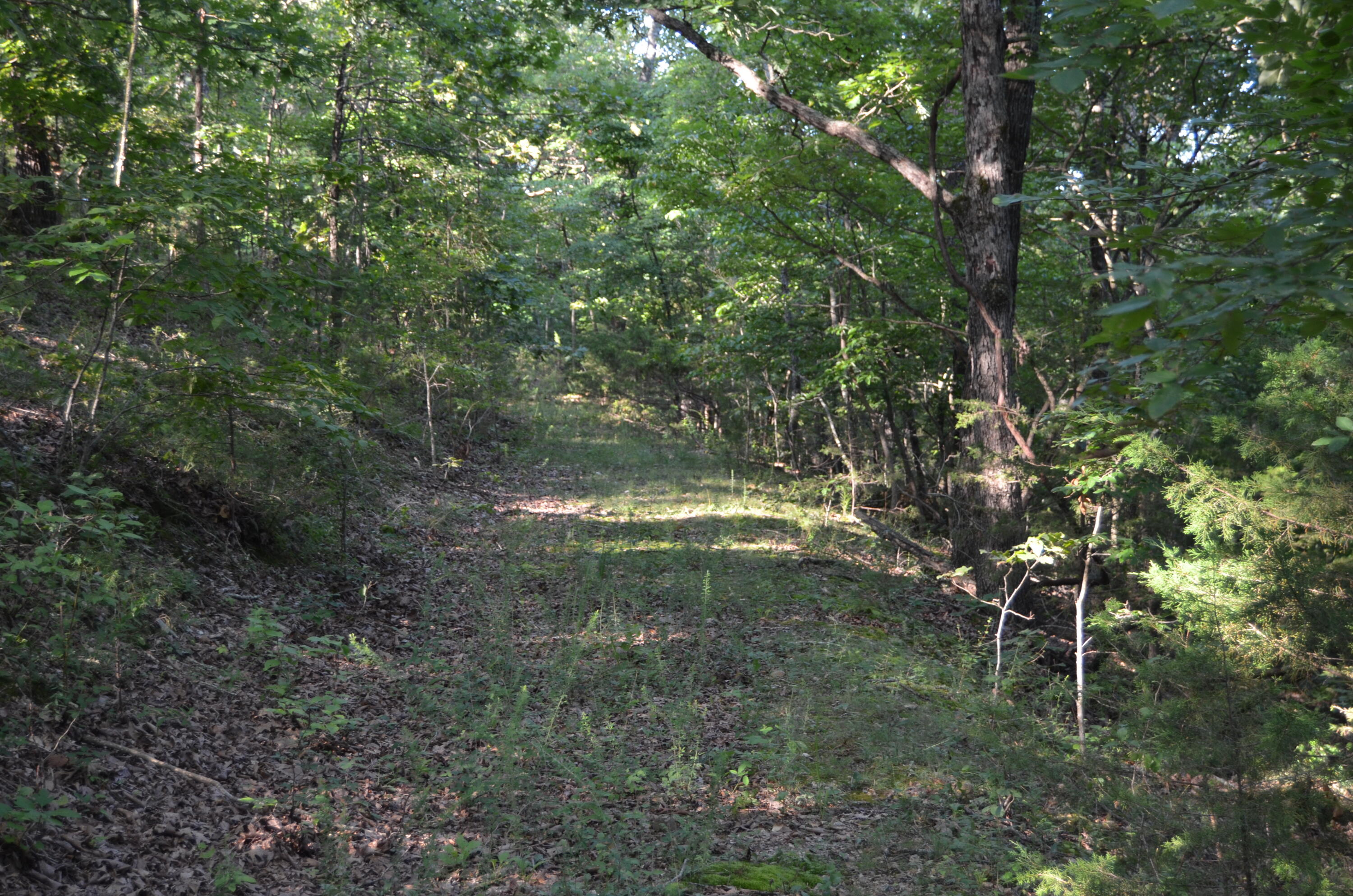 16 Acres Cliffside Drive Property Photo 8