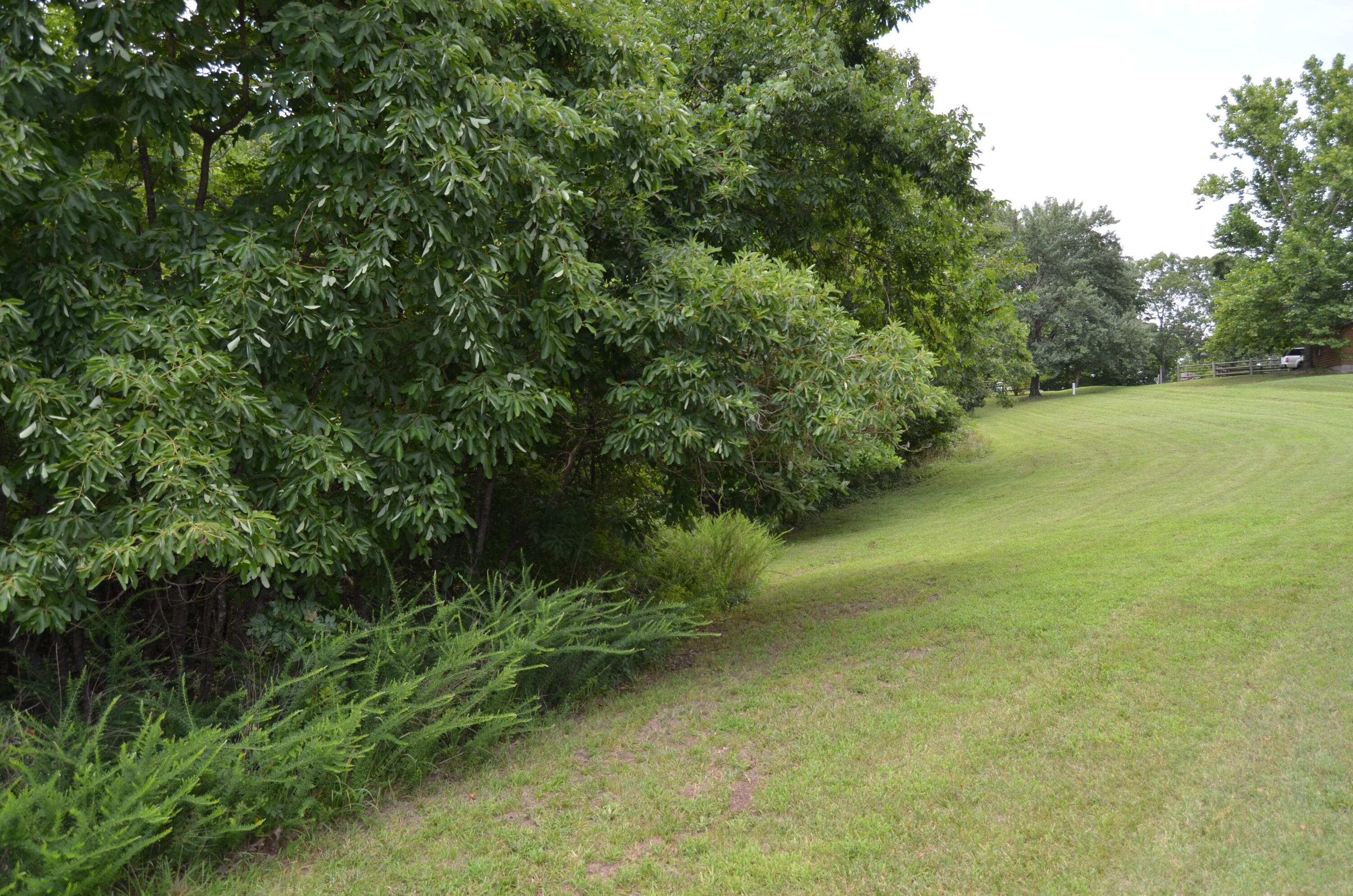 16 Acres Cliffside Drive Property Photo 21