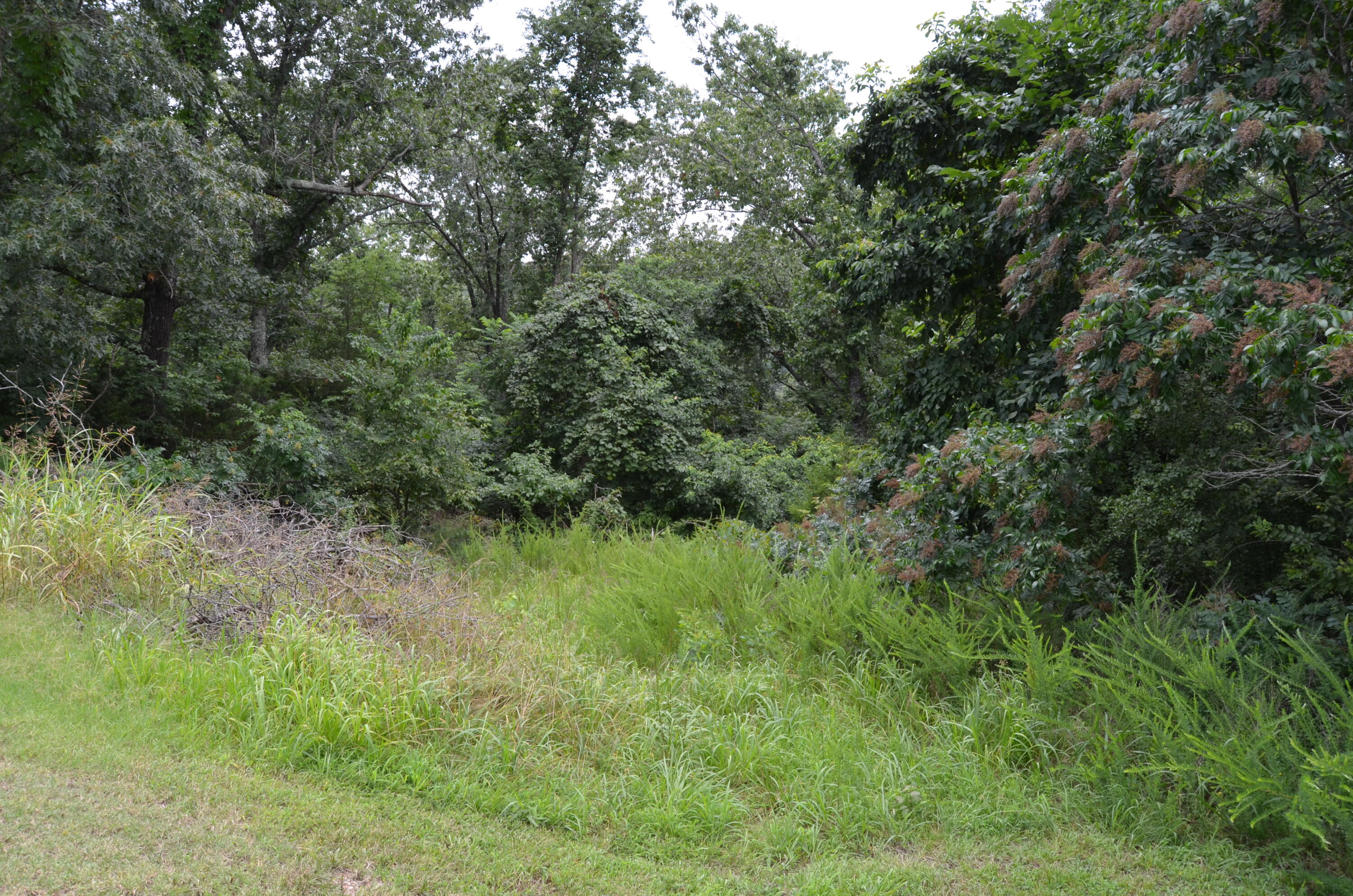 16 Acres Cliffside Drive Property Photo 22