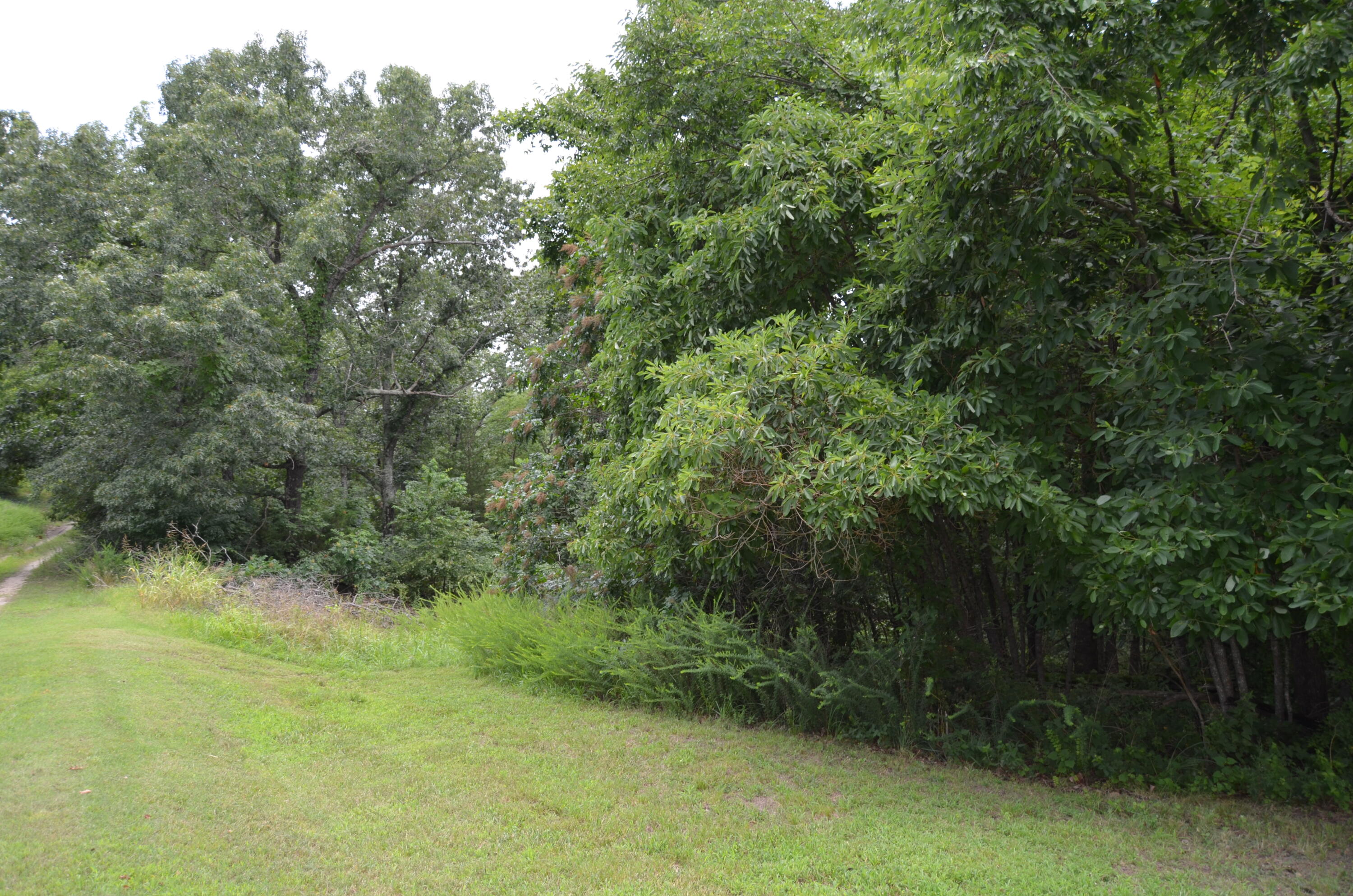 16 Acres Cliffside Drive Property Photo 24