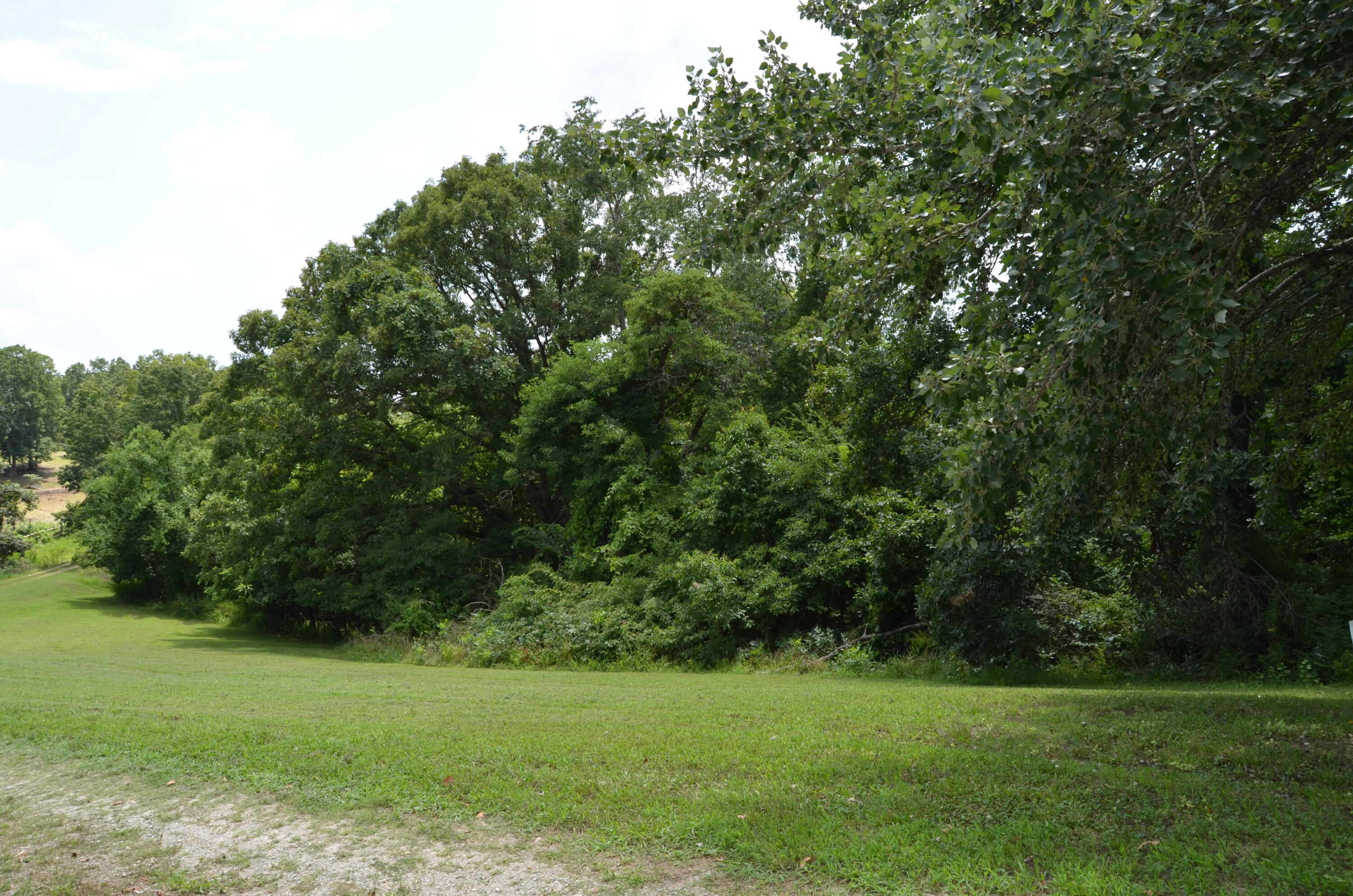 16 Acres Cliffside Drive Property Photo 25