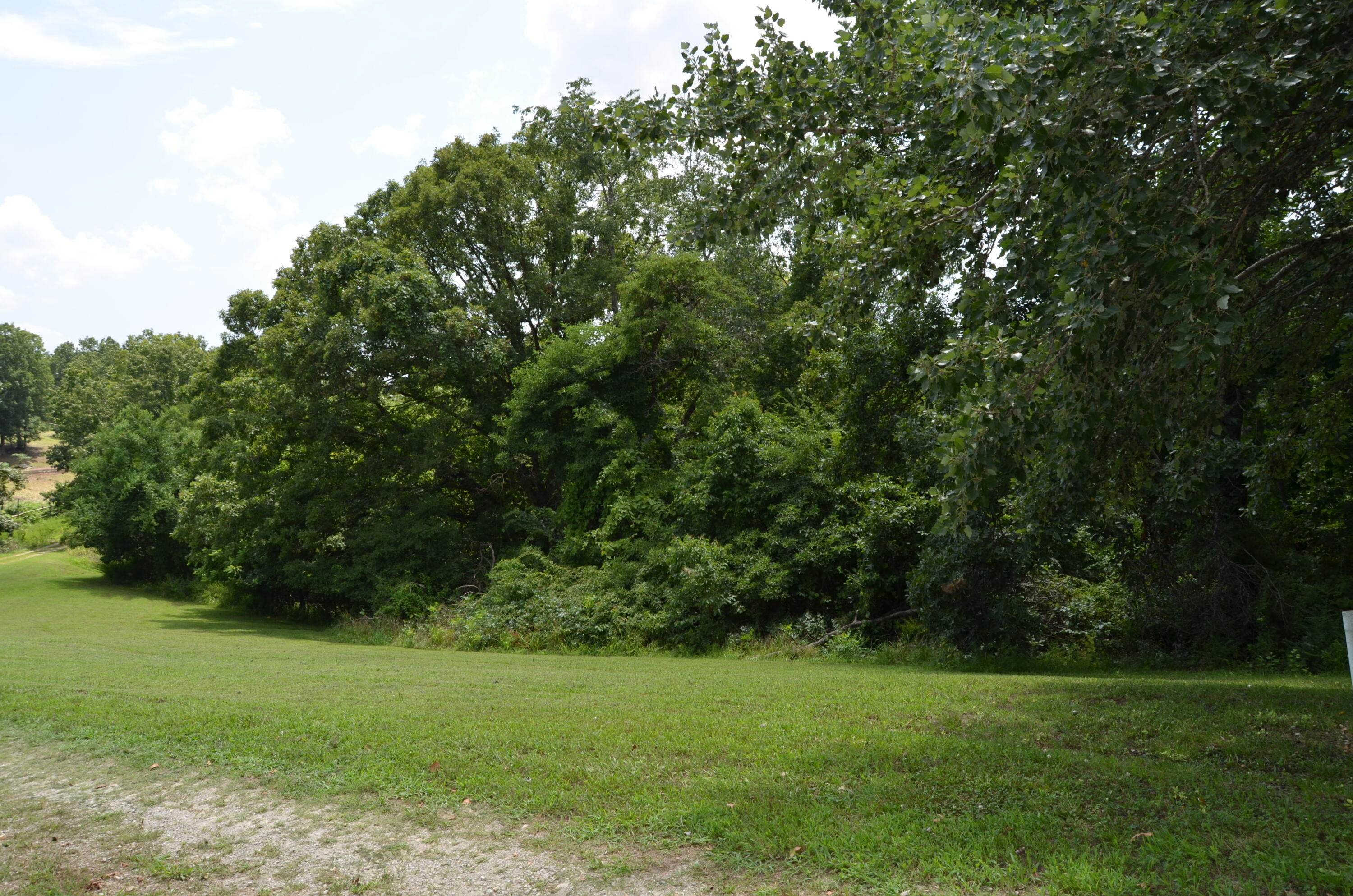16 Acres Cliffside Drive Property Photo 26