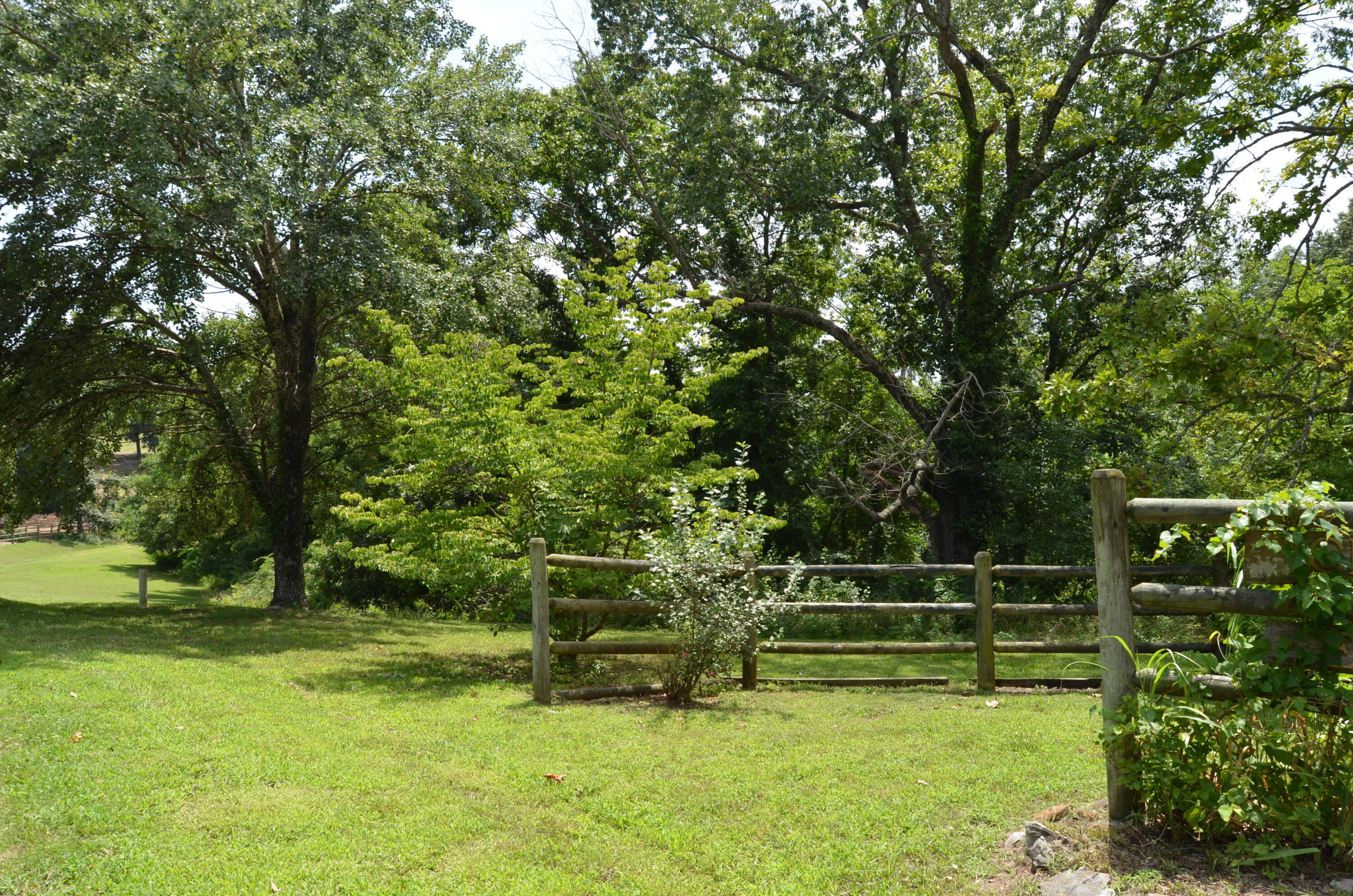 16 Acres Cliffside Drive Property Photo 27
