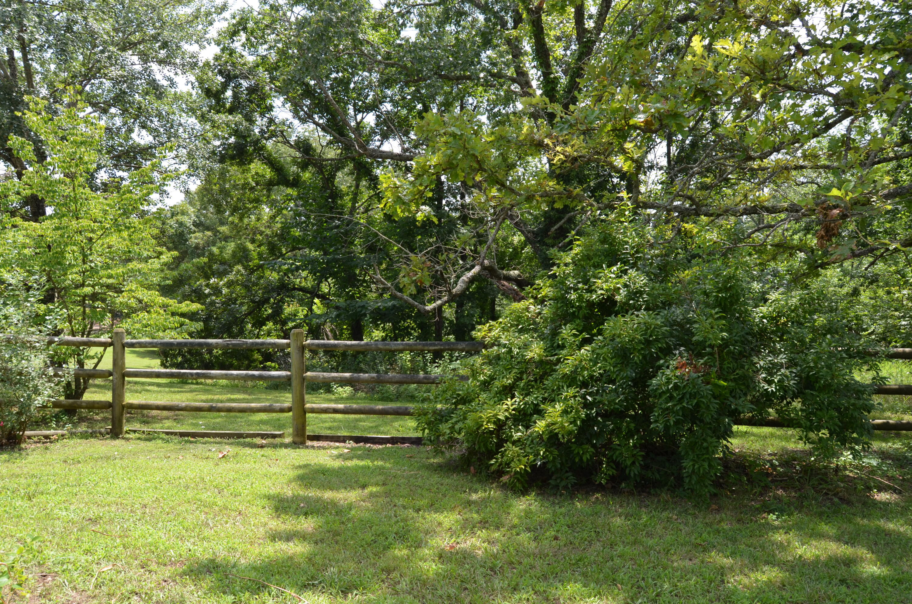 16 Acres Cliffside Drive Property Photo 28