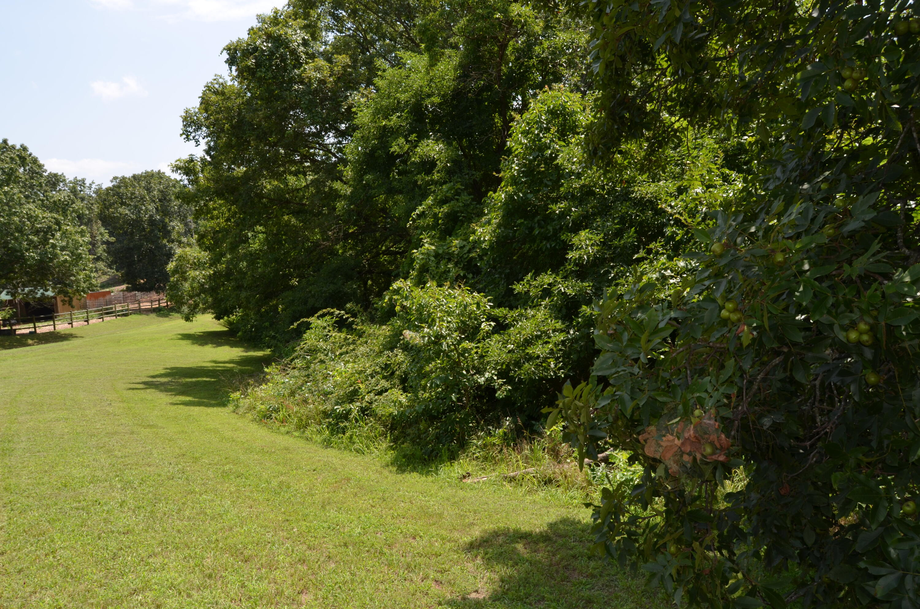 16 Acres Cliffside Drive Property Photo 30