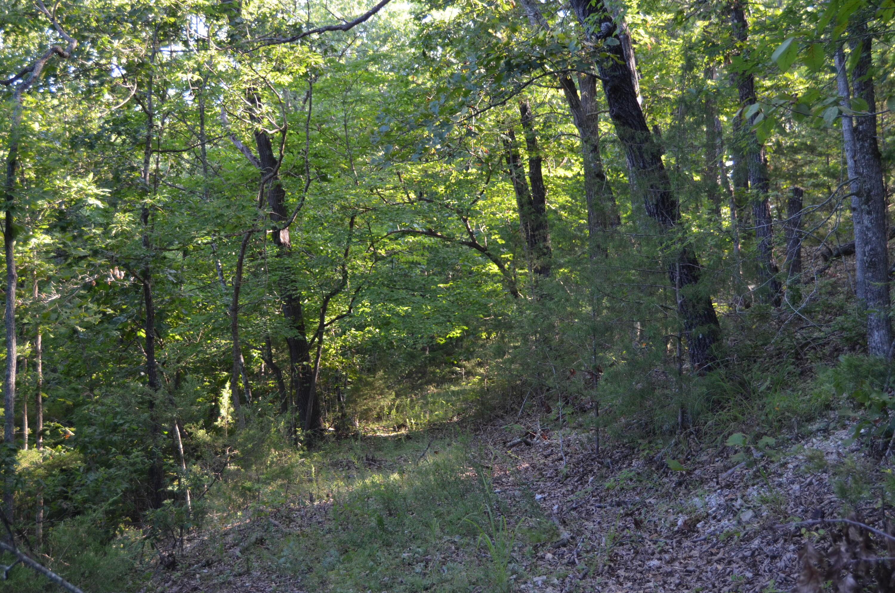 16 Acres Cliffside Drive Property Photo 31