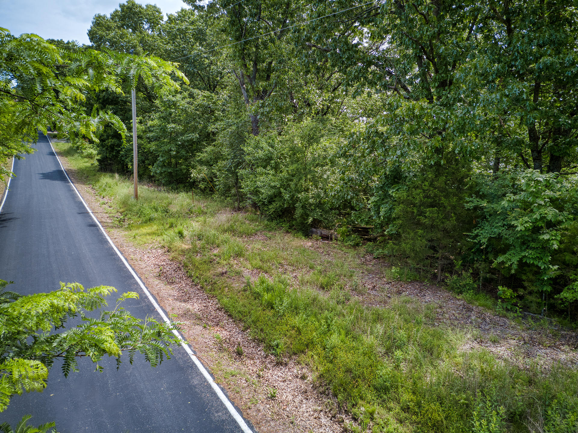 000 Fox Hollow Dr/lot 87 Property Photo 4