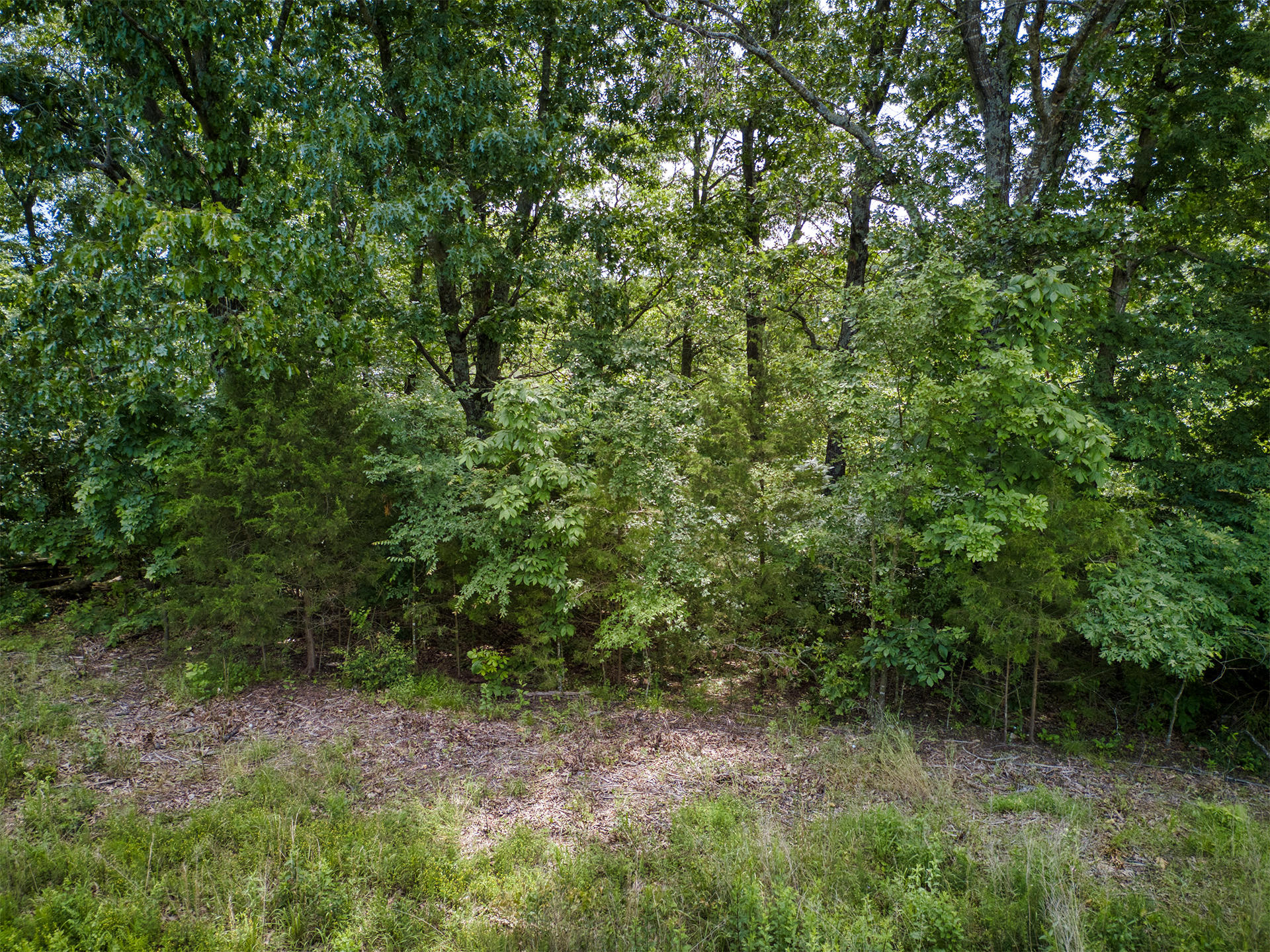 000 Fox Hollow Dr/lot 87 Property Photo 5