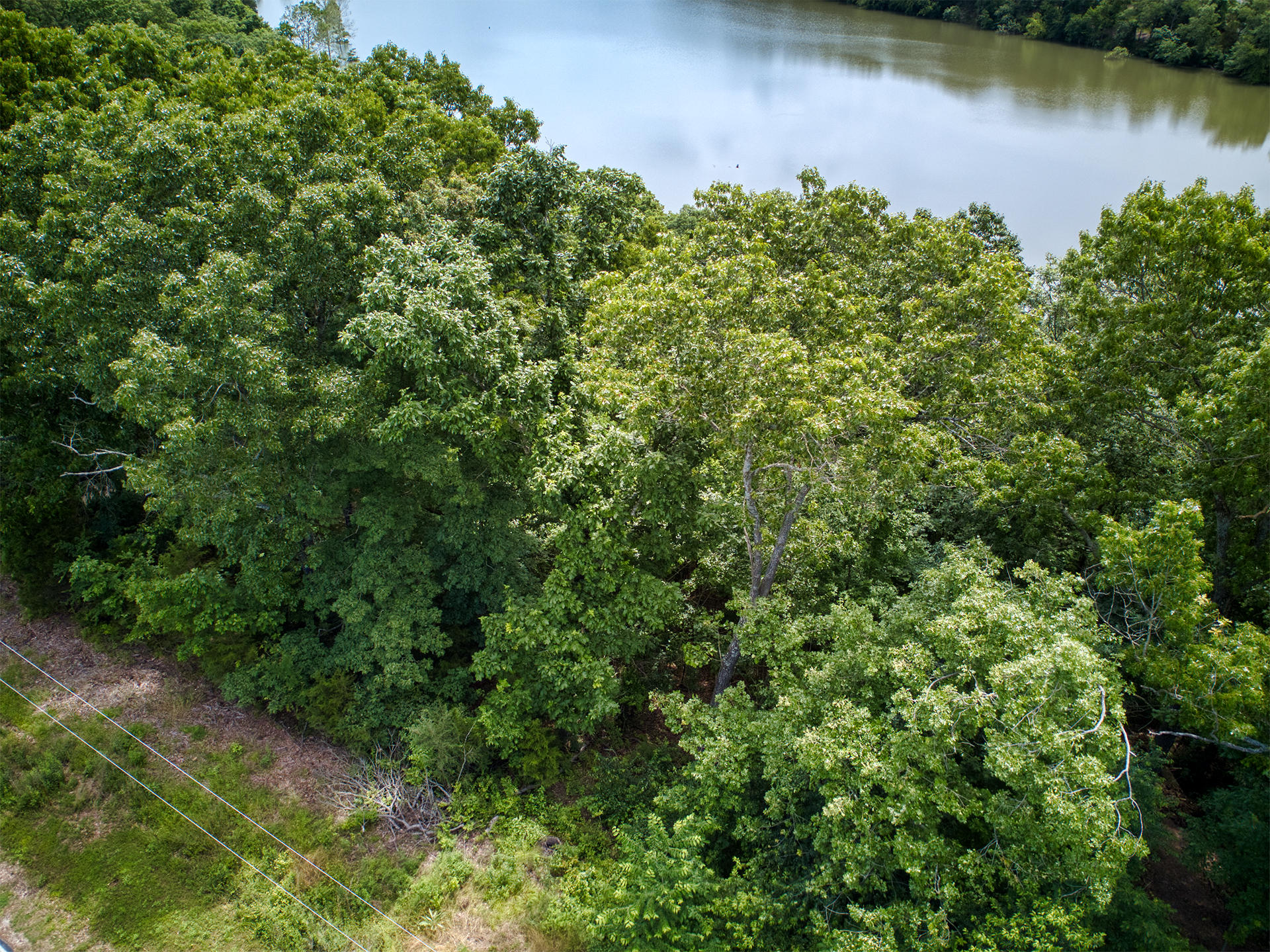 000 Fox Hollow Dr/lot 87 Property Photo 6