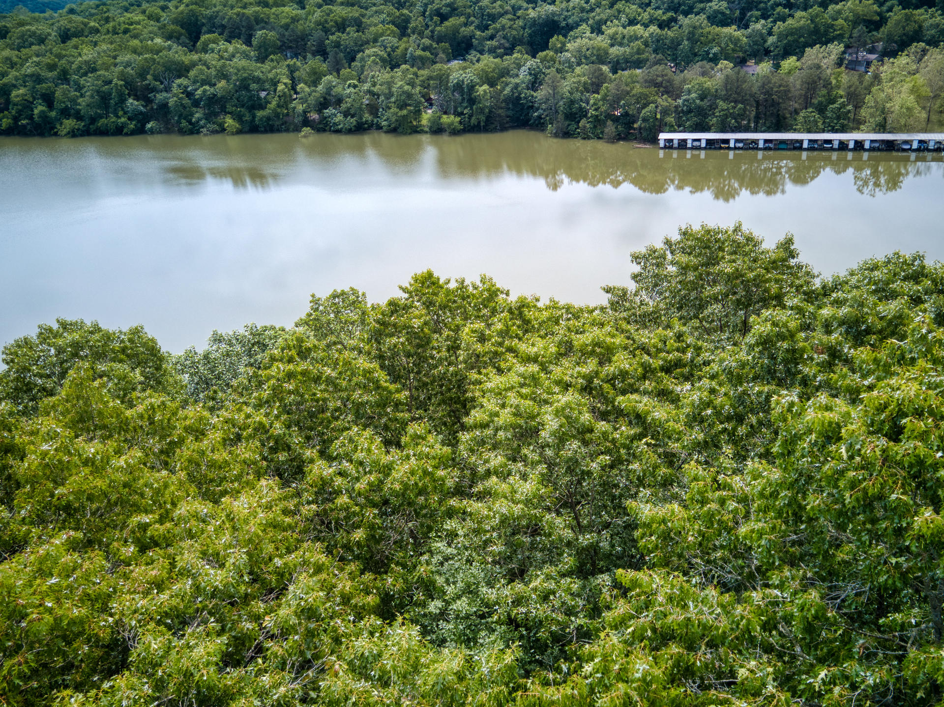 000 Fox Hollow Dr/lot 87 Property Photo 9