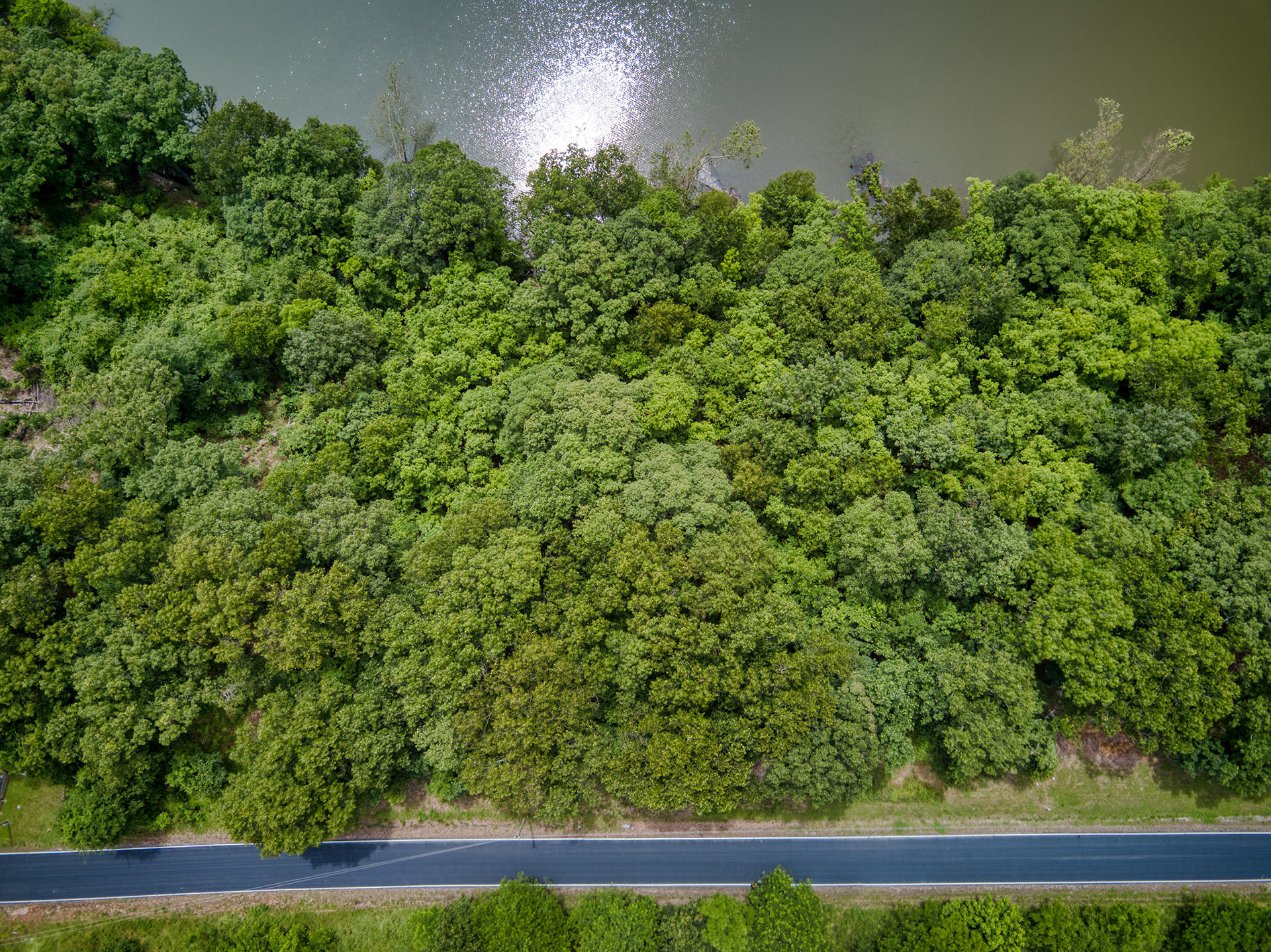 000 Fox Hollow Dr/lot 87 Property Photo 12