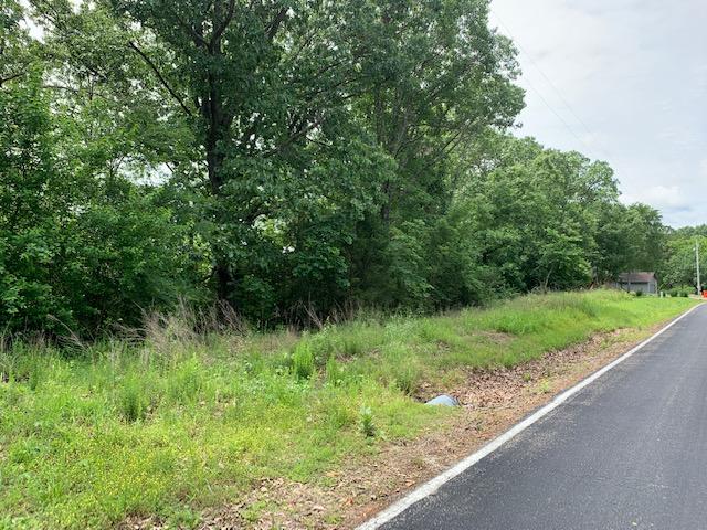 000 Fox Hollow Dr/lot 86 Property Photo 12