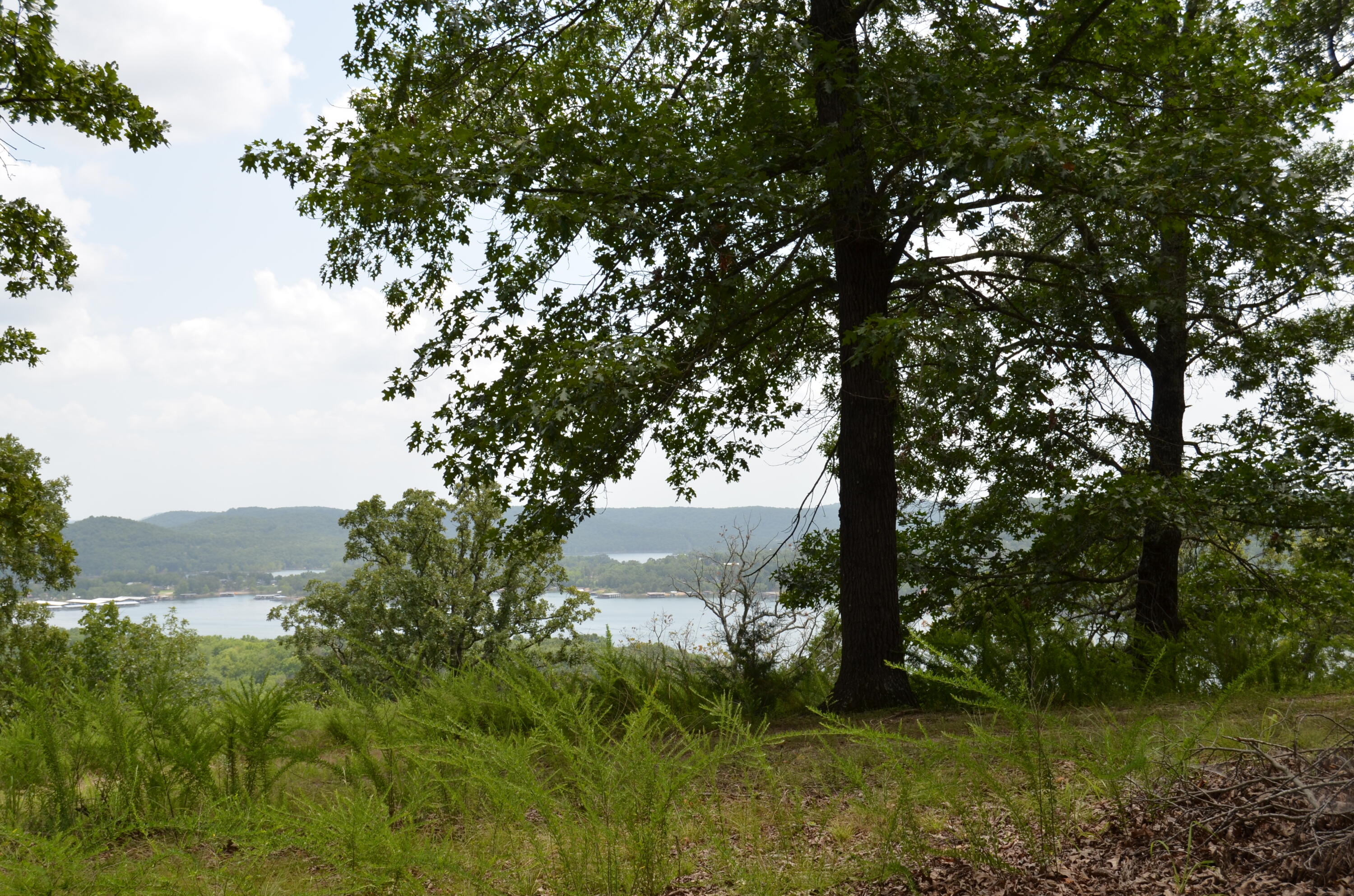 Lots 8-12 Cliffside Drive Property Photo 4