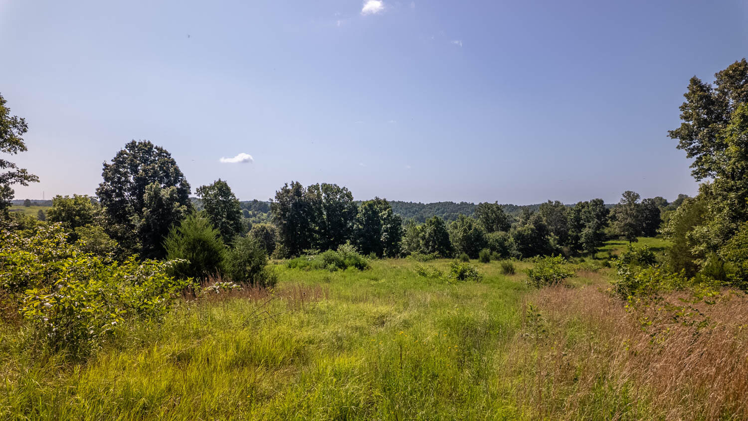 0 England Cemetery Trail Property Photo 1