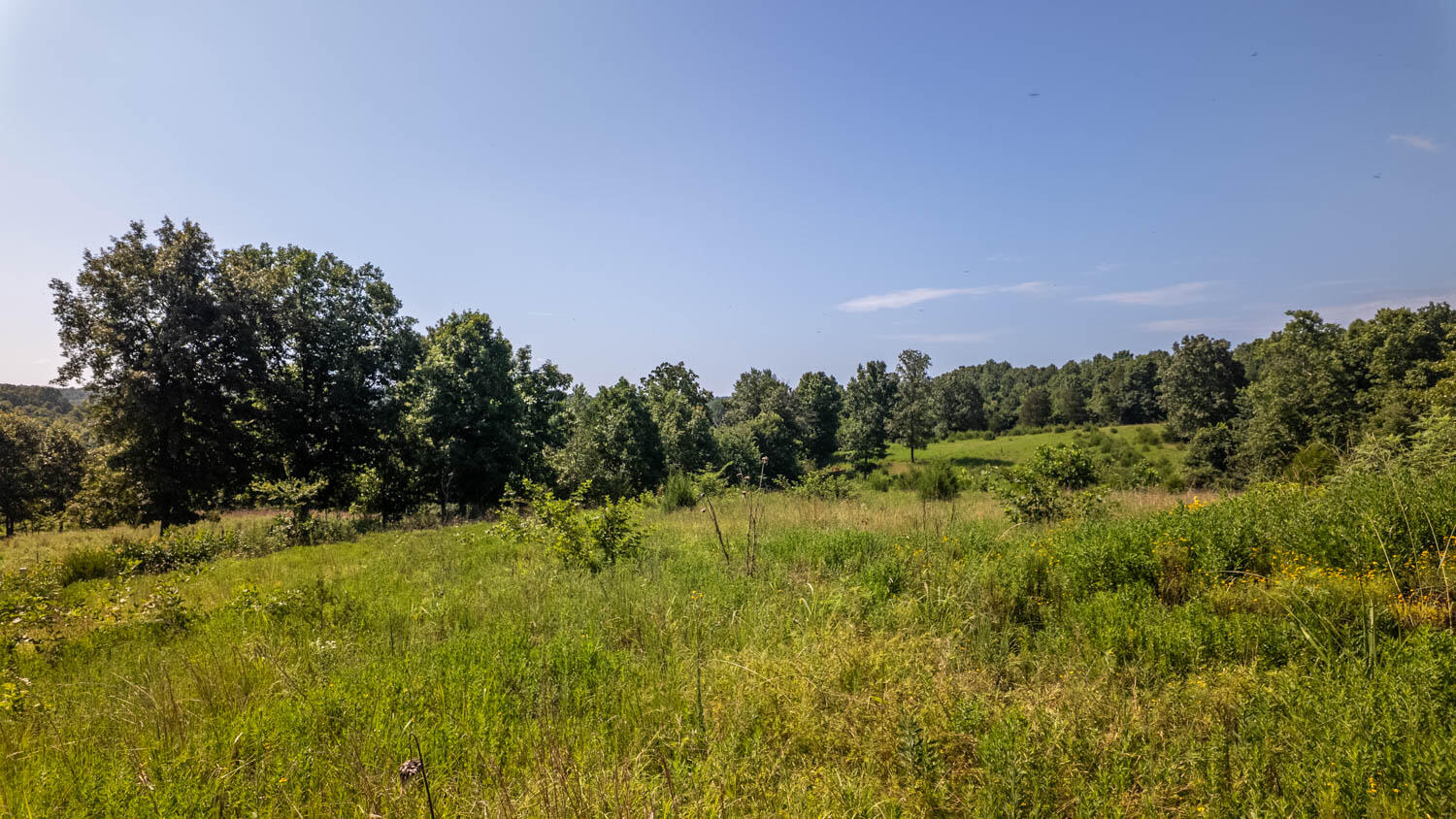 0 England Cemetery Trail Property Photo 4