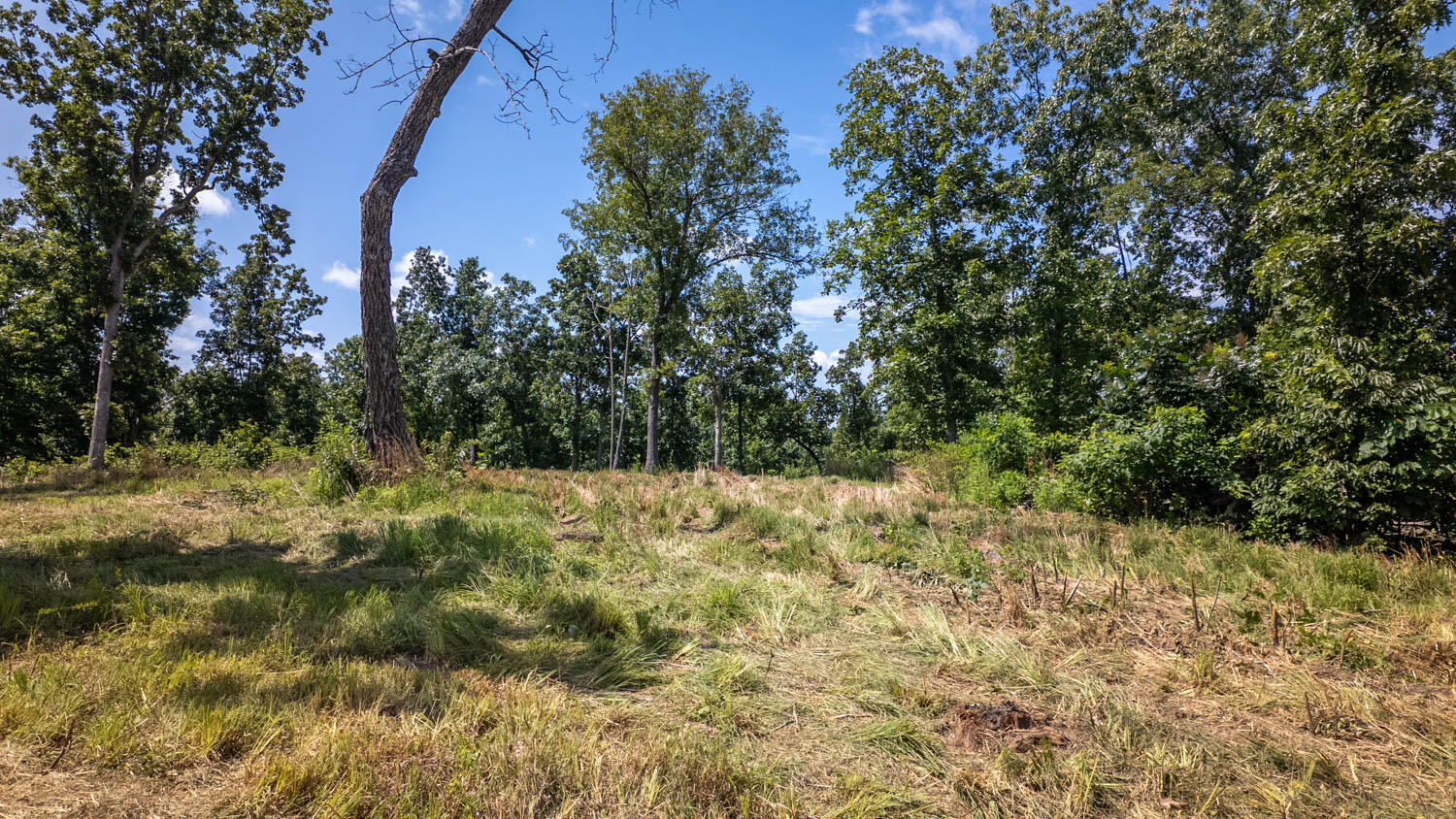 0 England Cemetery Trail Property Photo 13