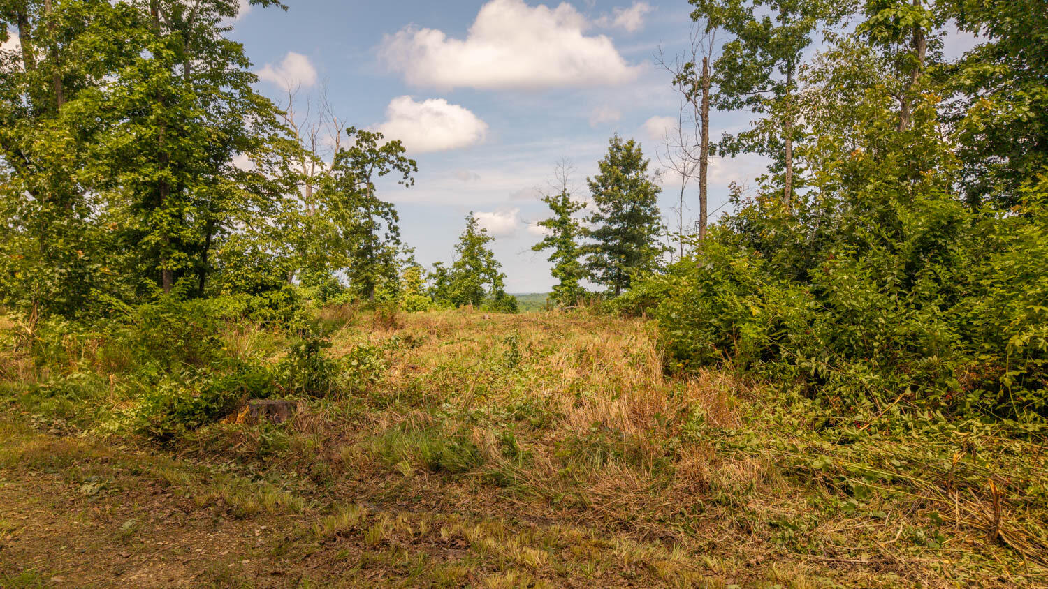 0 Bobcat Lane Property Photo 1