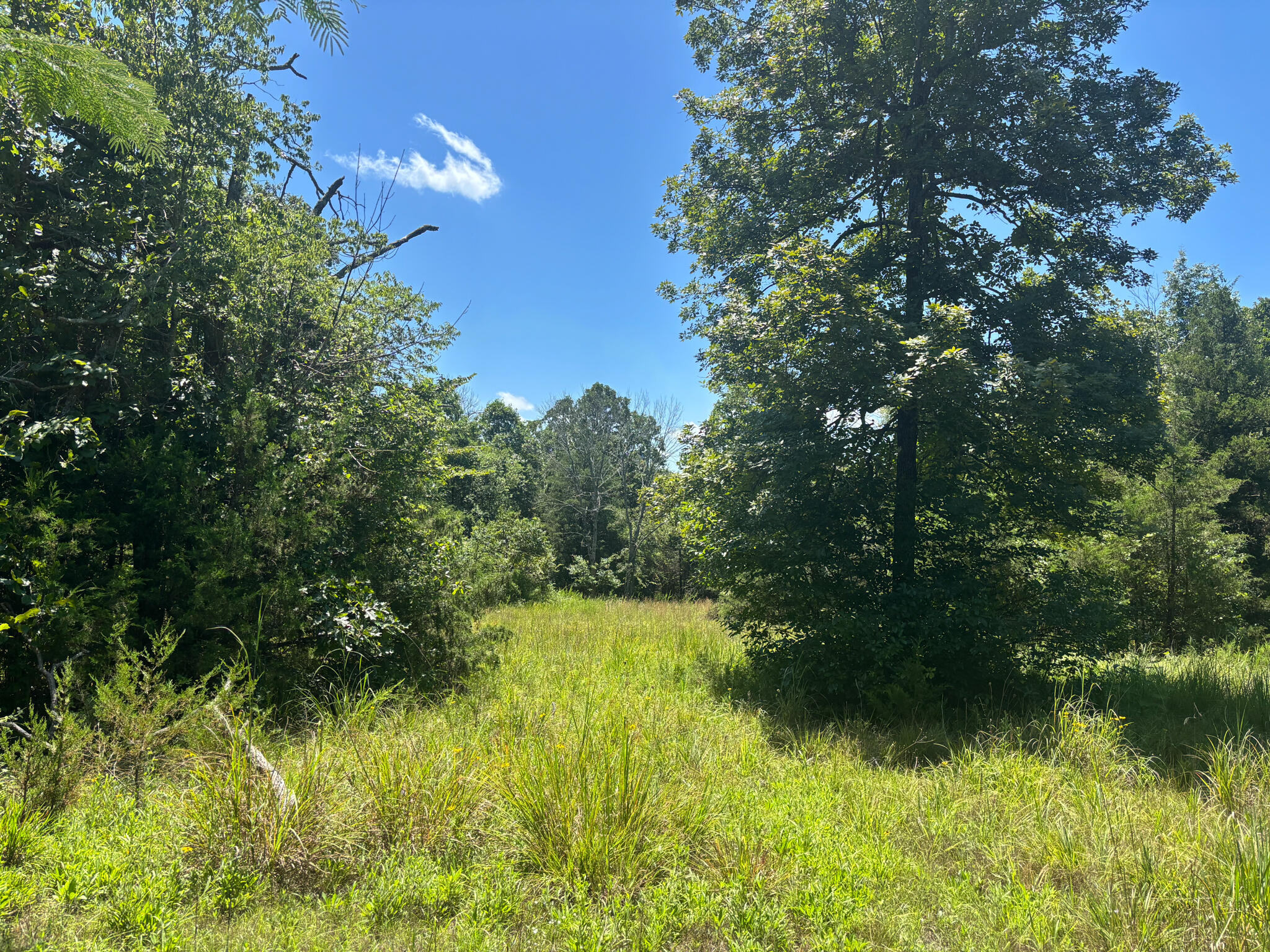 416 County Road 644 Property Photo 3