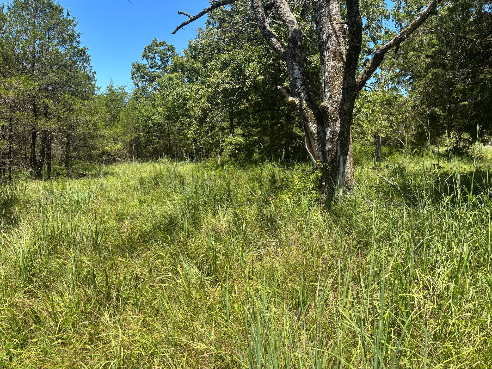416 County Road 644 Property Photo 4
