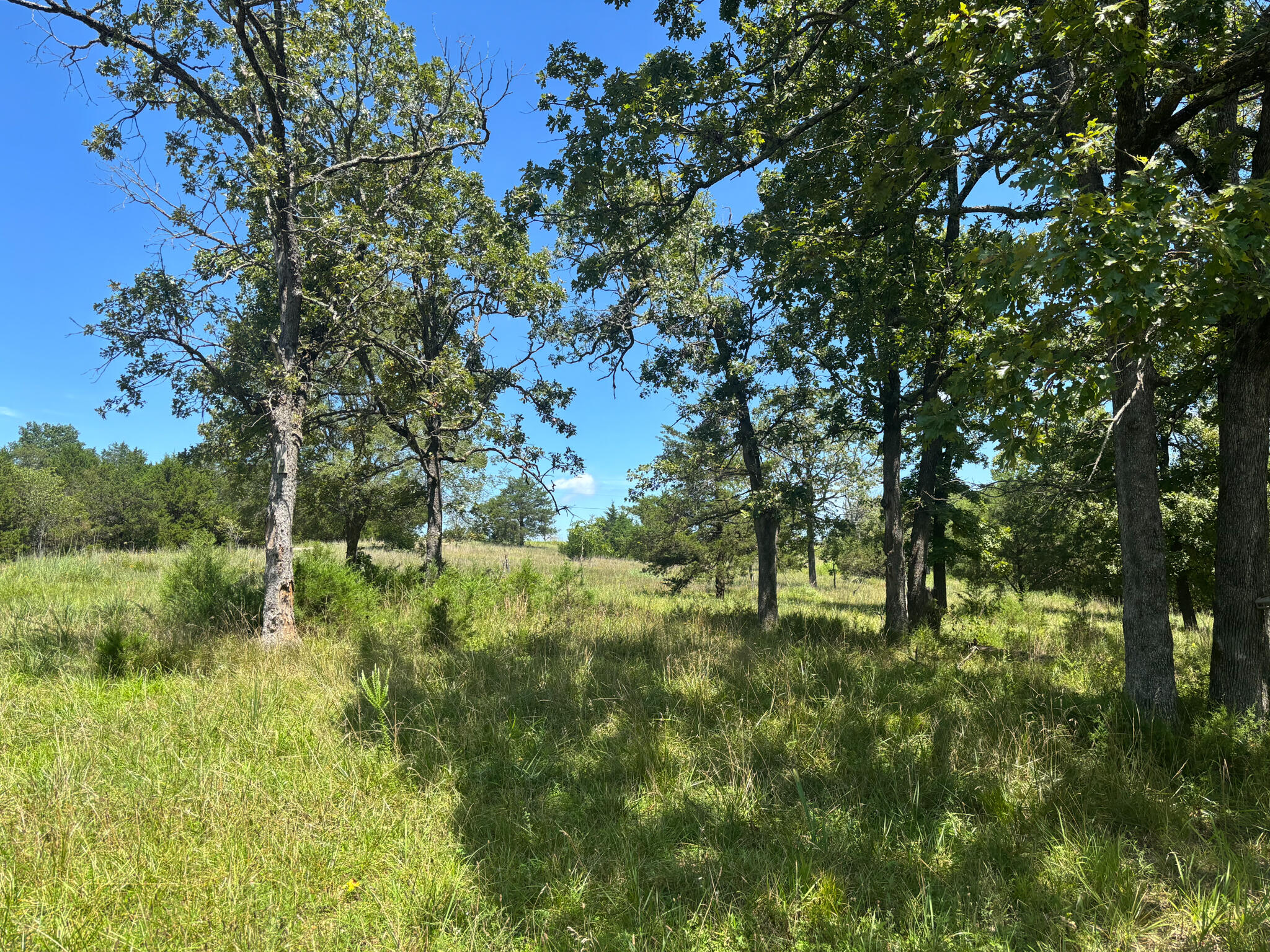 416 County Road 644 Property Photo 6
