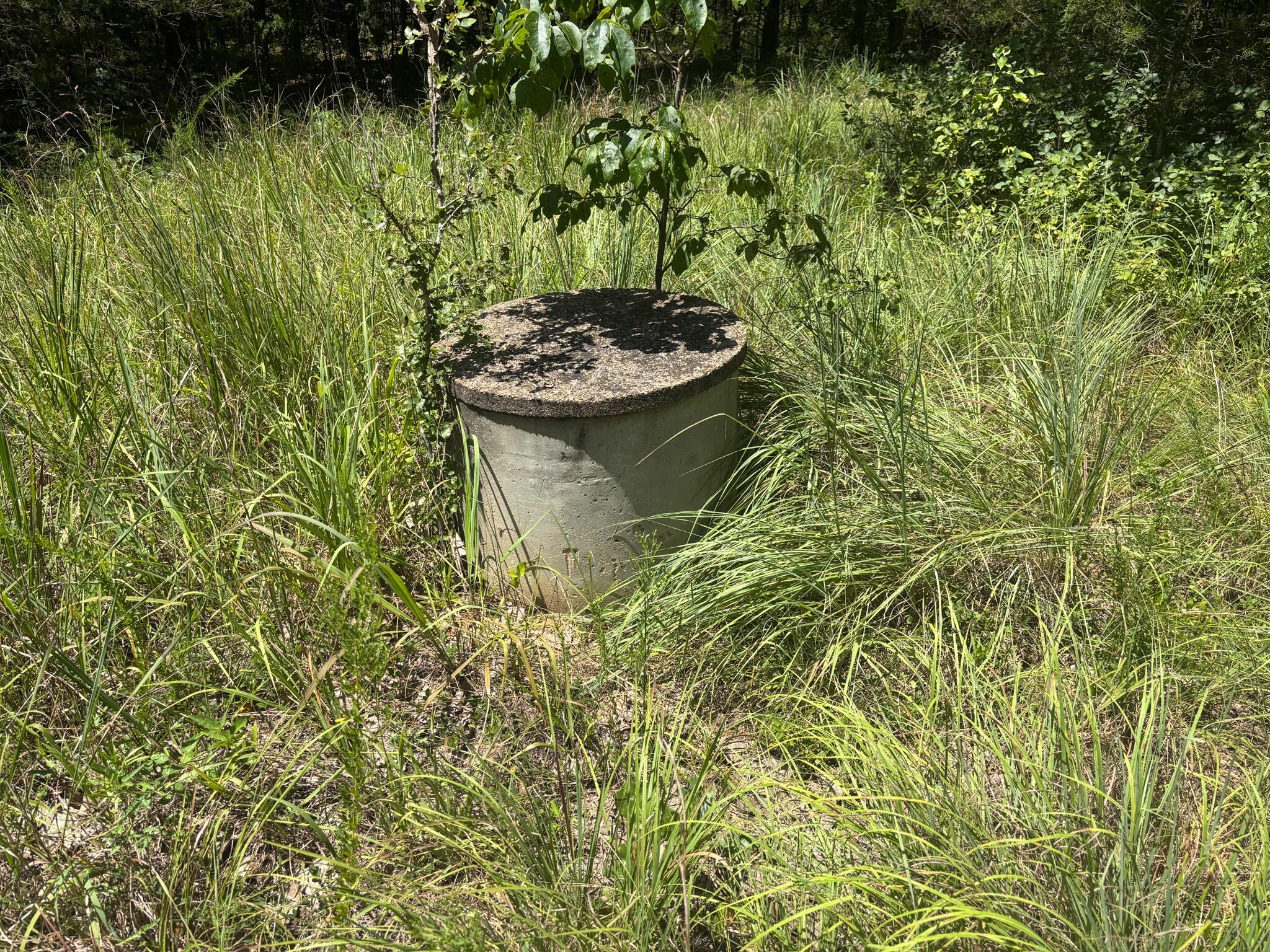 416 County Road 644 Property Photo 10